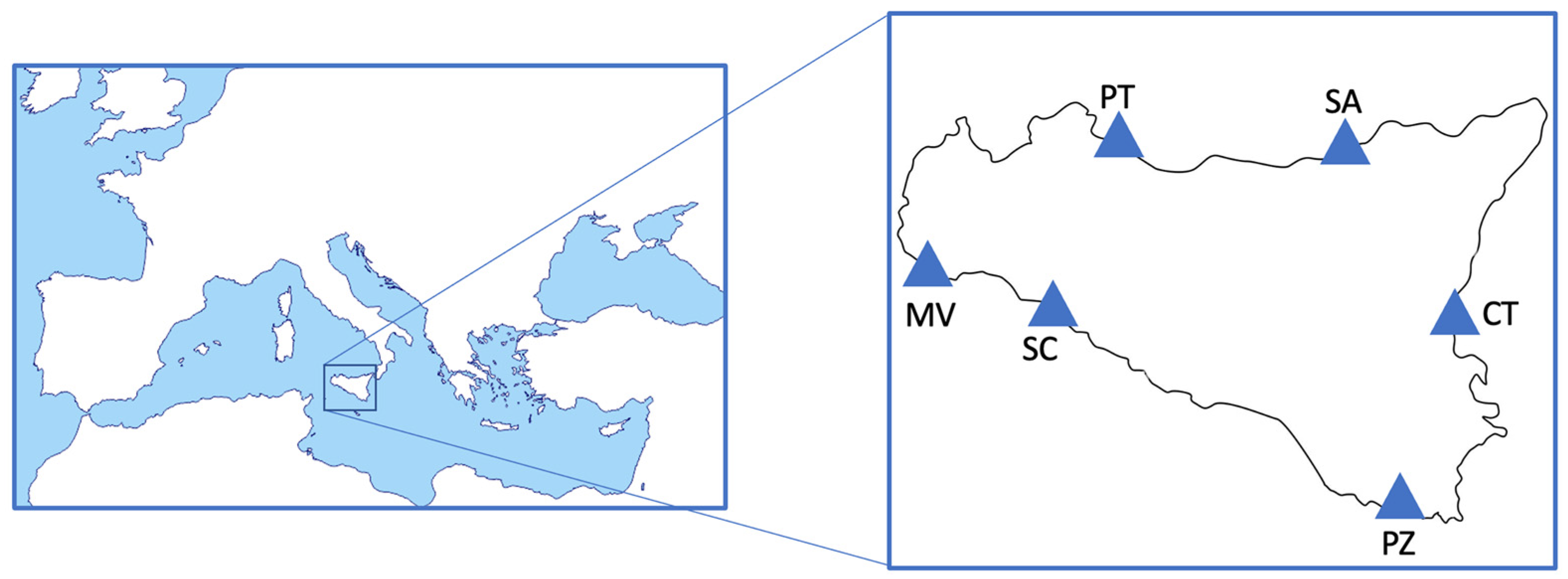 Animals 14 02158 g001