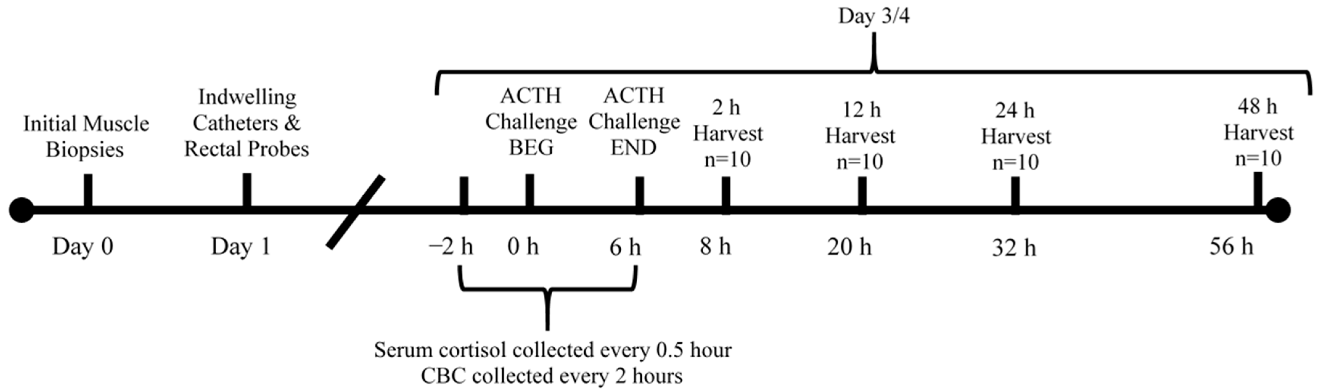 Animals 14 02170 g001