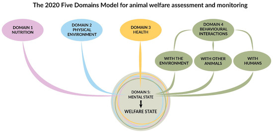 Animals | Free Full-Text | Introducing the Mellorater—The Five Domains ...