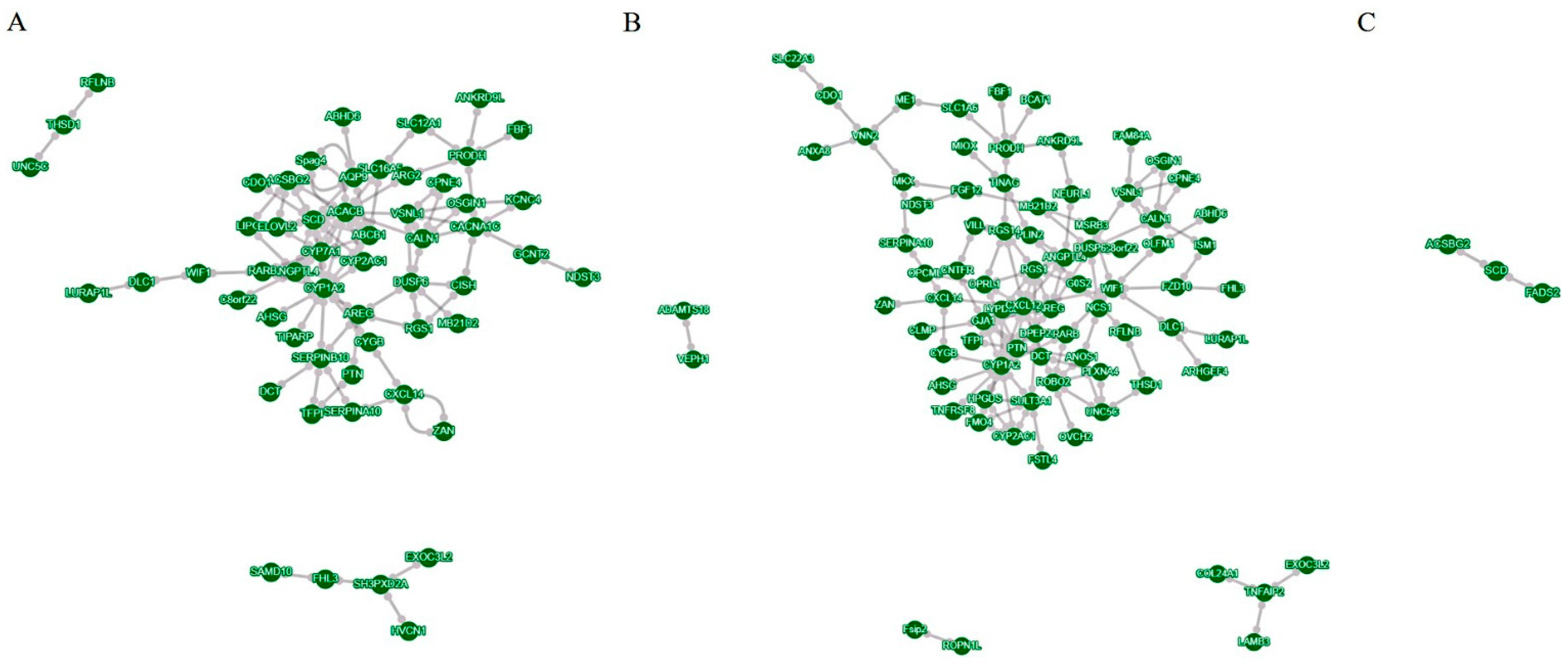 Animals 14 02173 g004