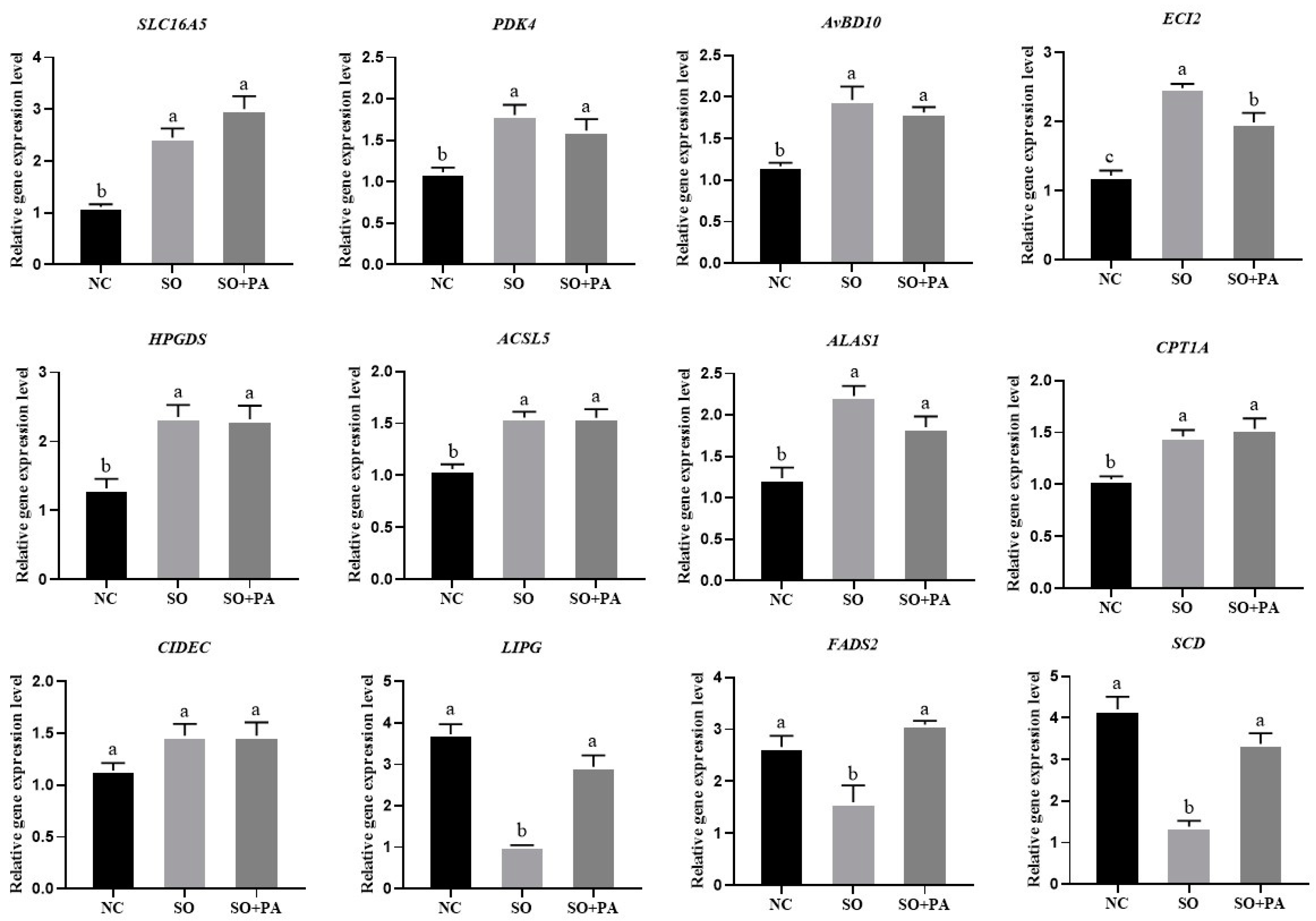 Animals 14 02173 g005