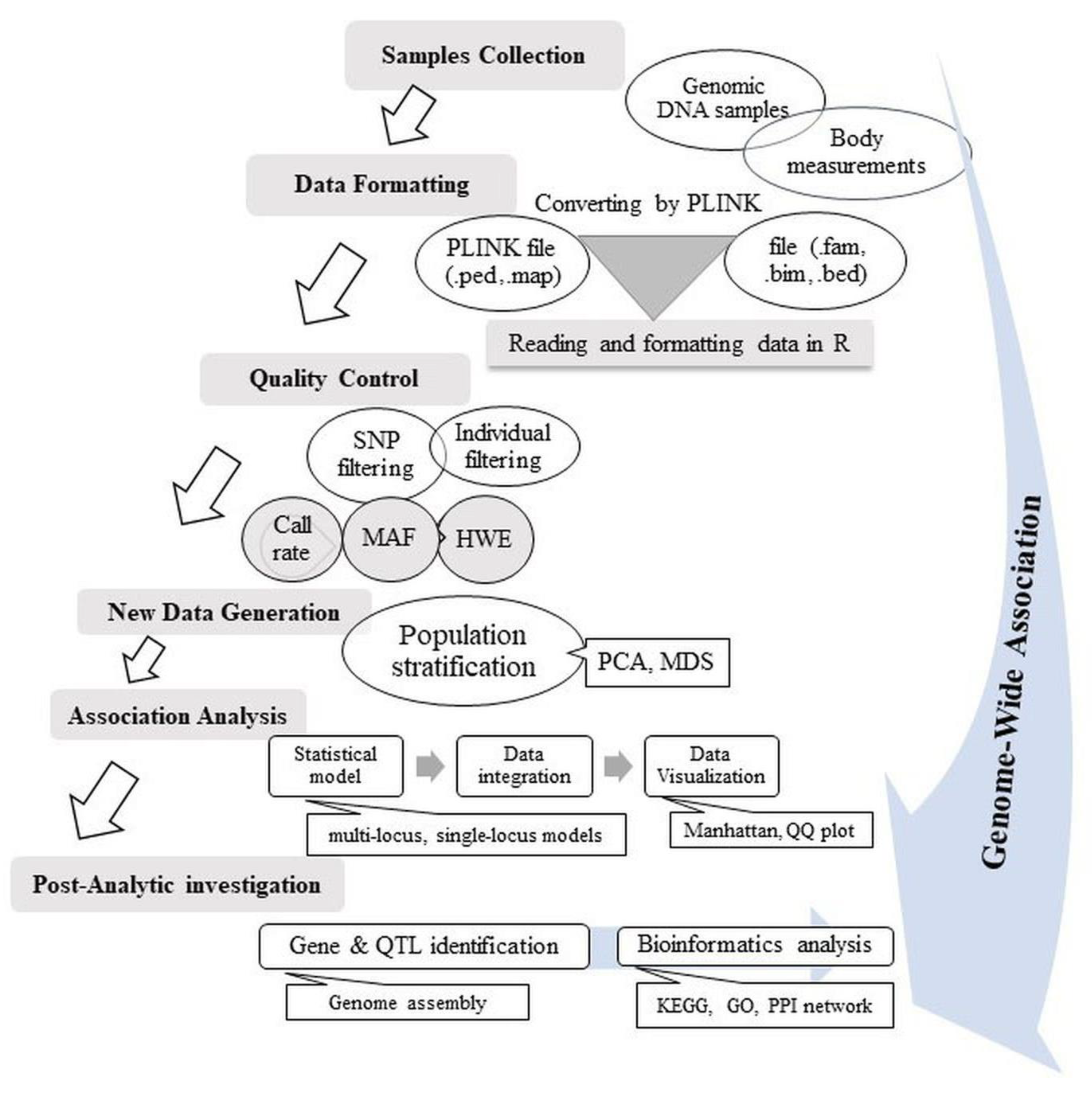 Animals 14 02181 g001