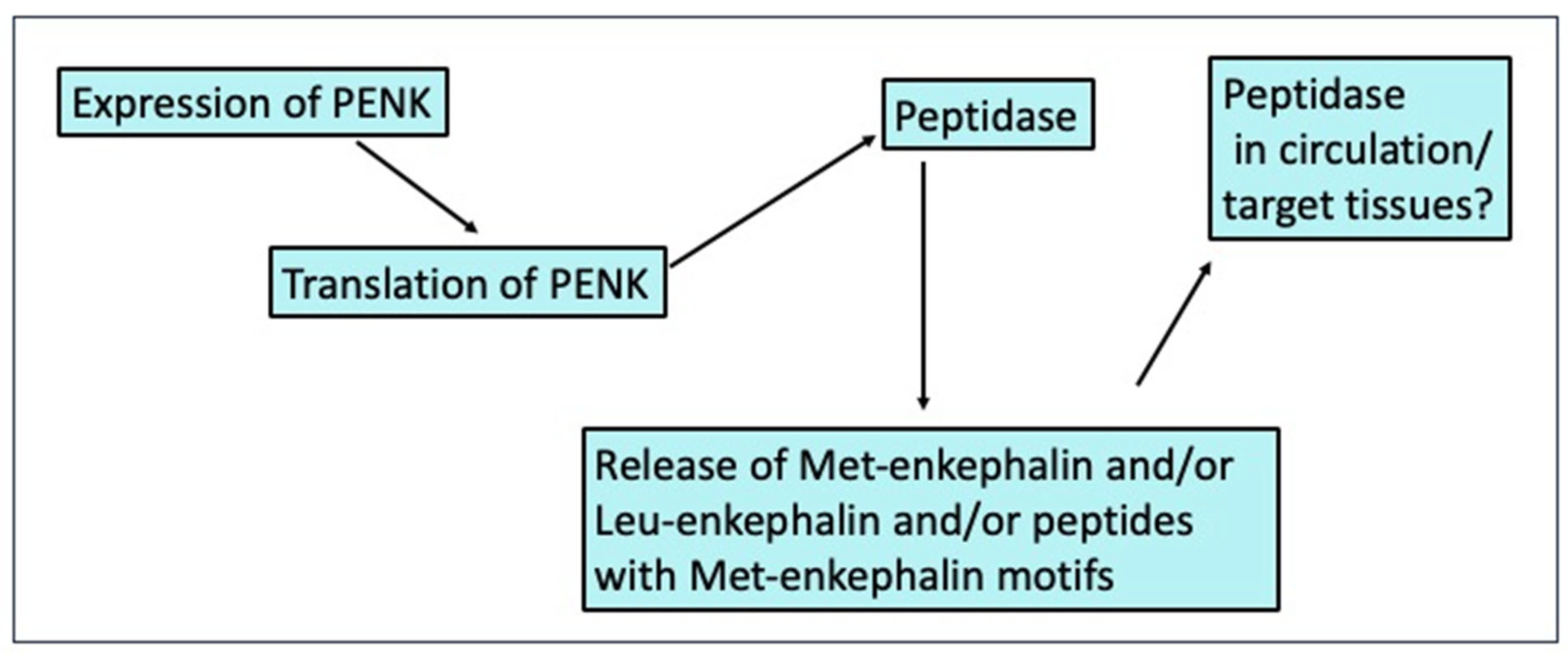 Animals 14 02201 g003