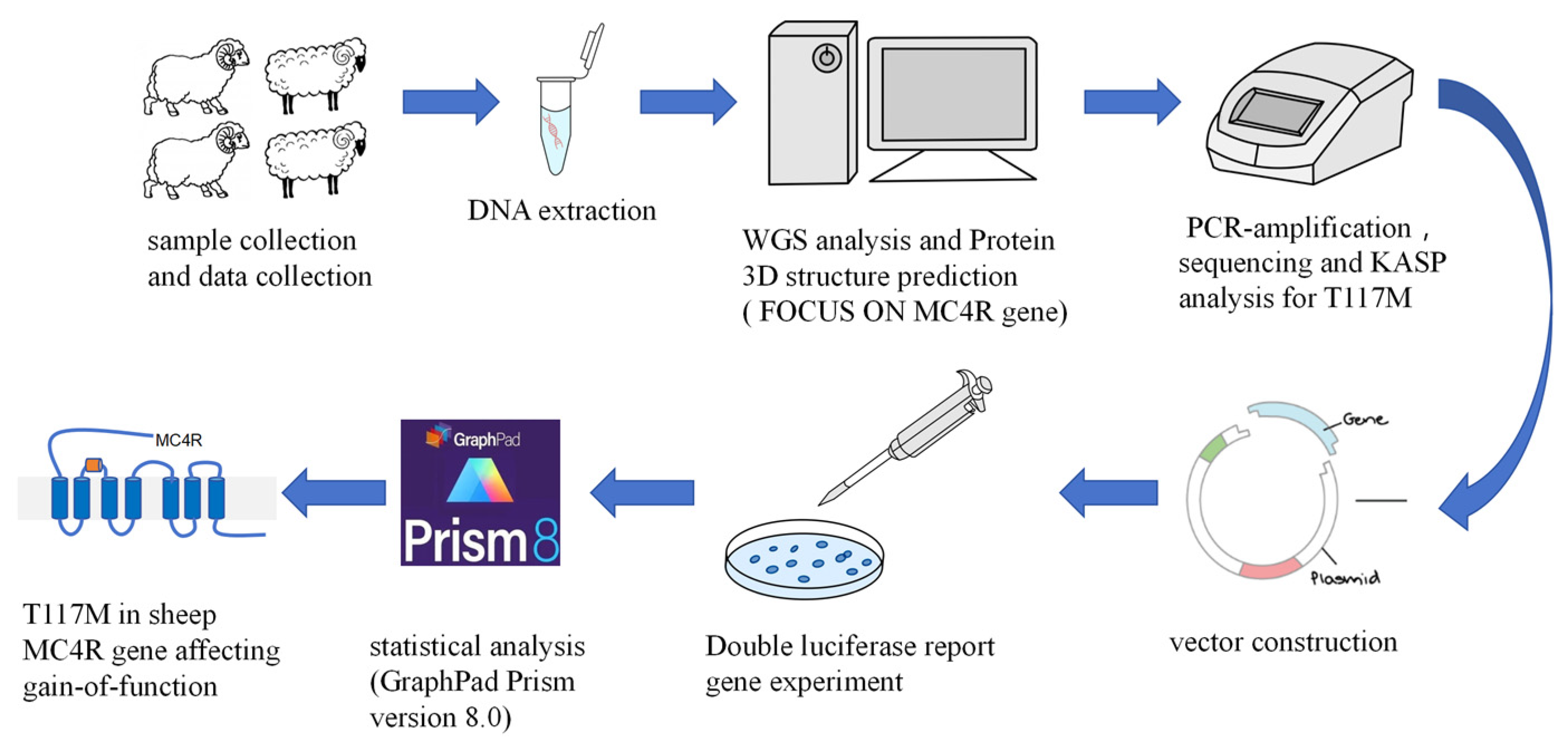 Animals 14 02207 g001