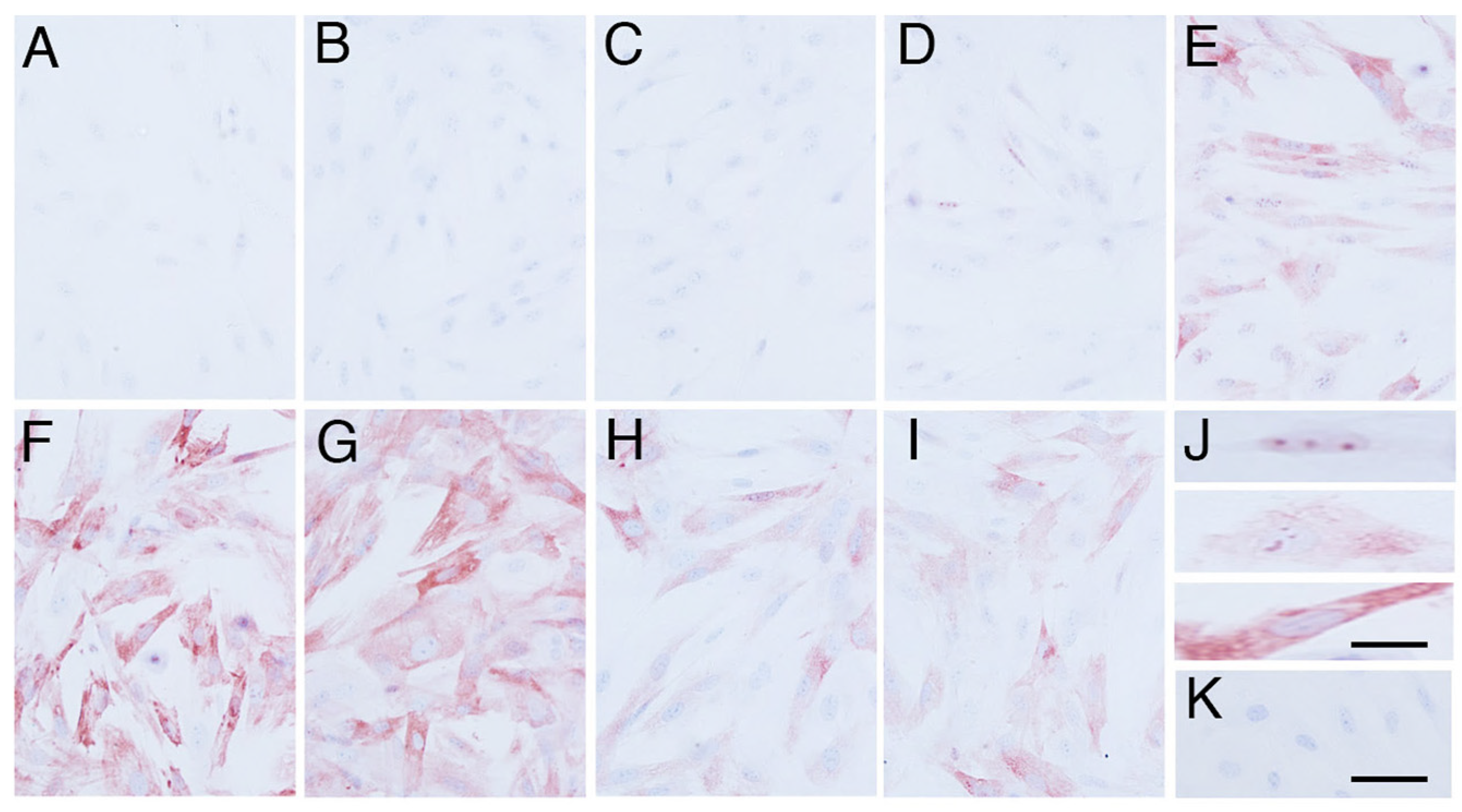 Animals 14 02211 g002