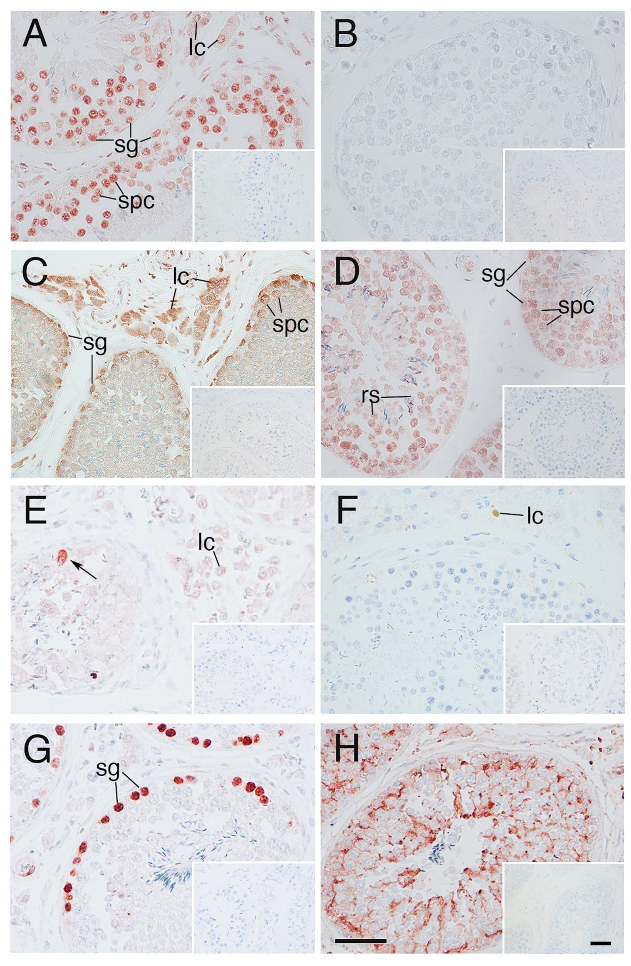 Animals 14 02211 g006