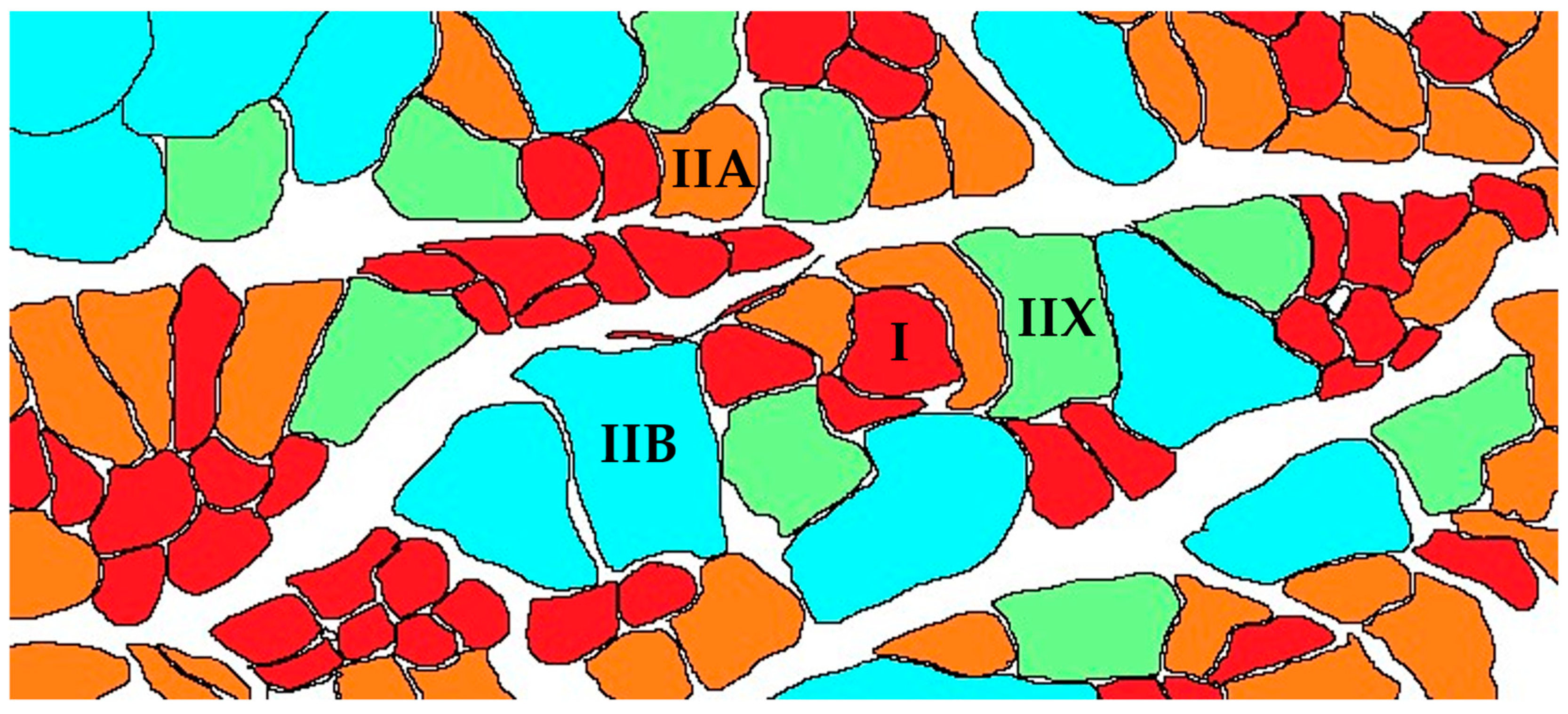 Animals 14 02225 g001