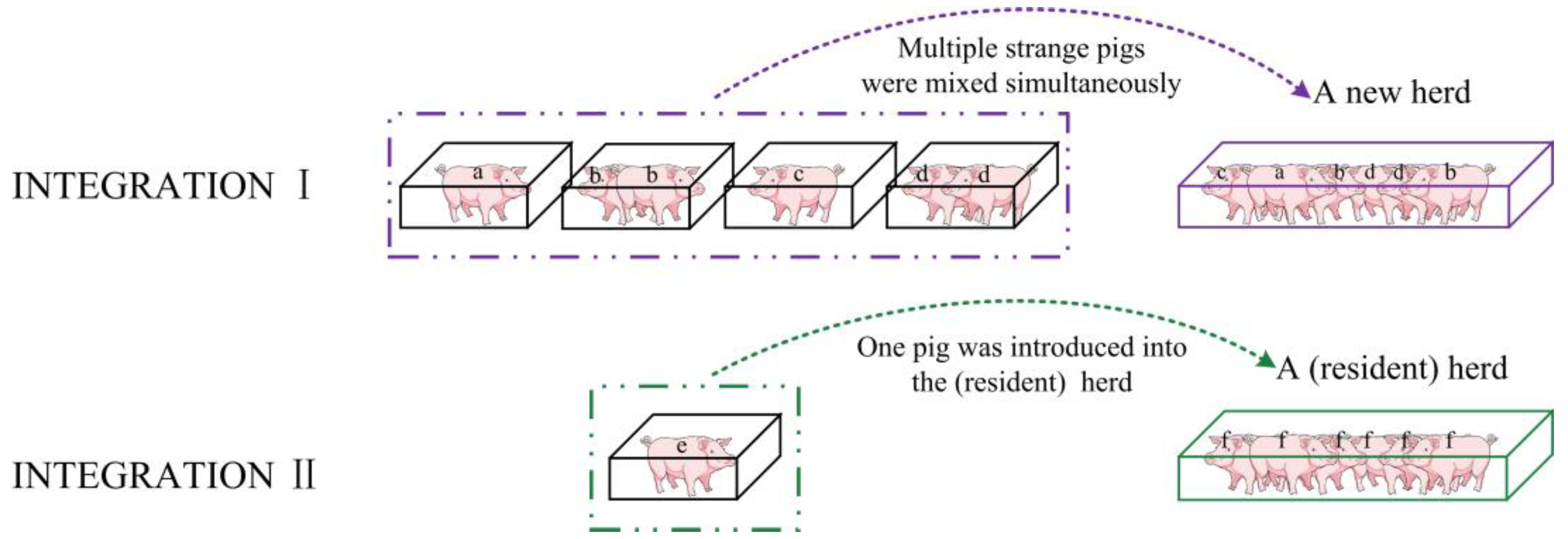 Animals 14 02229 g001