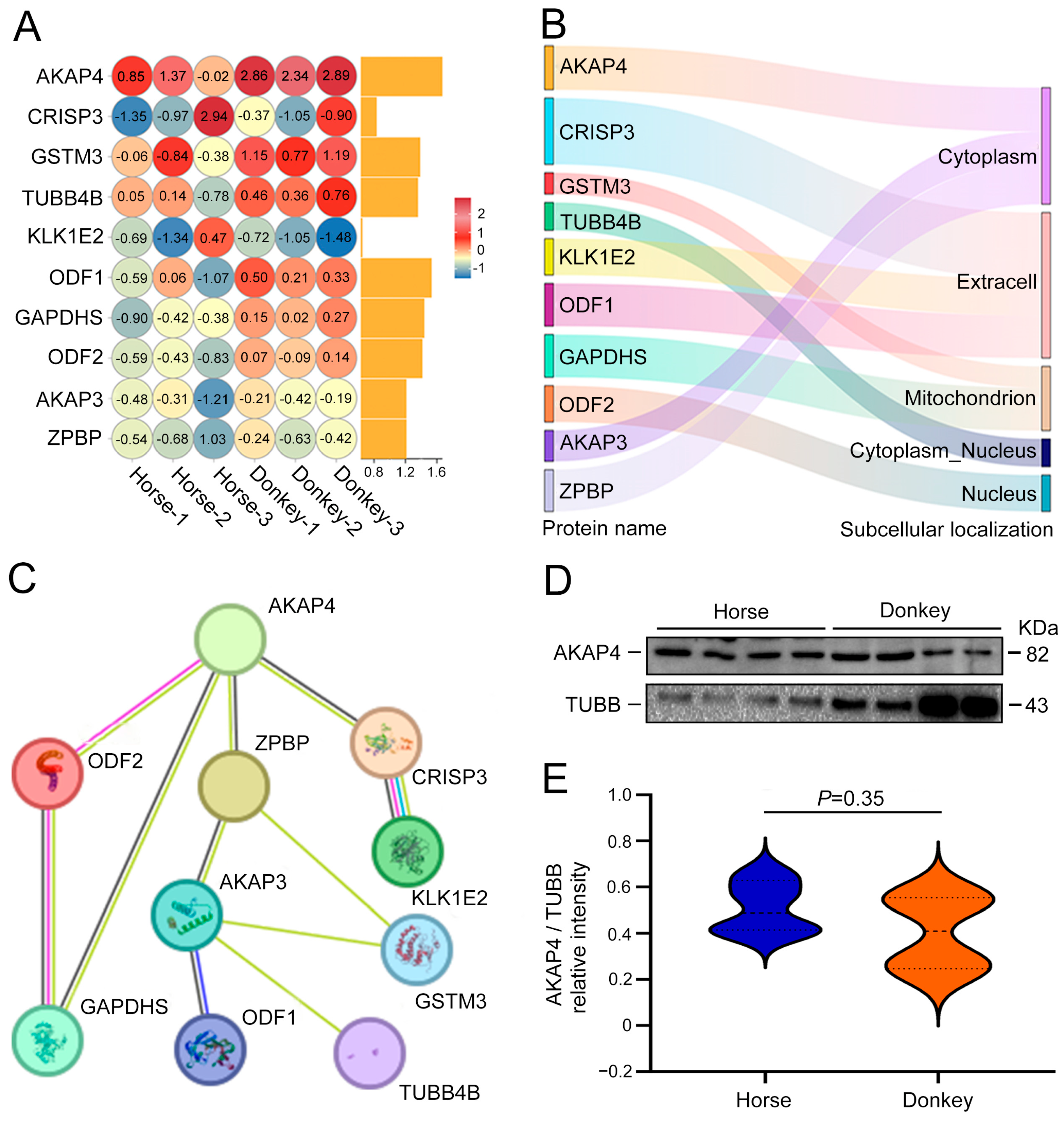 Animals 14 02237 g004 Animals 14 02237 g004