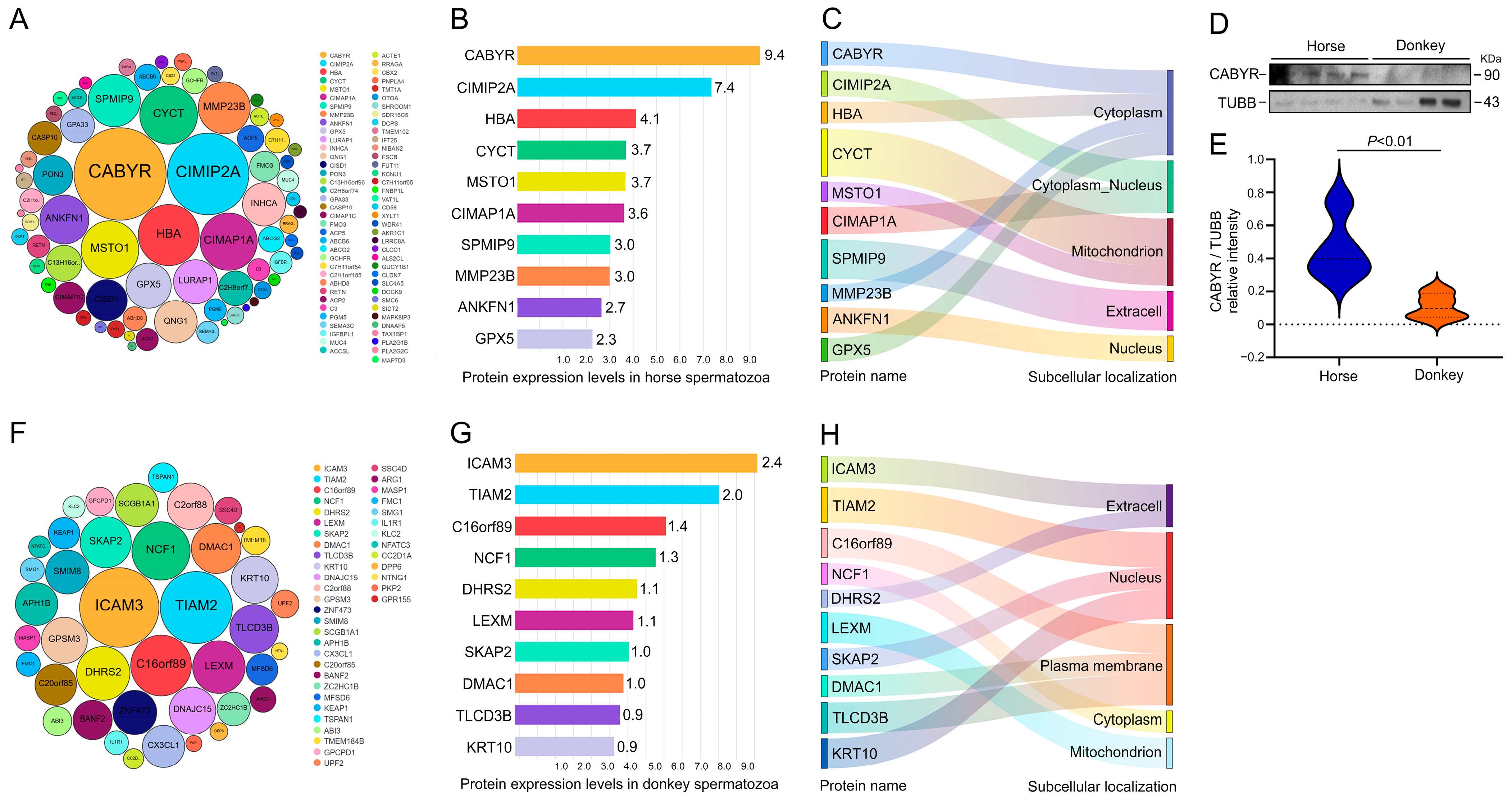 Animals 14 02237 g005 Animals 14 02237 g005