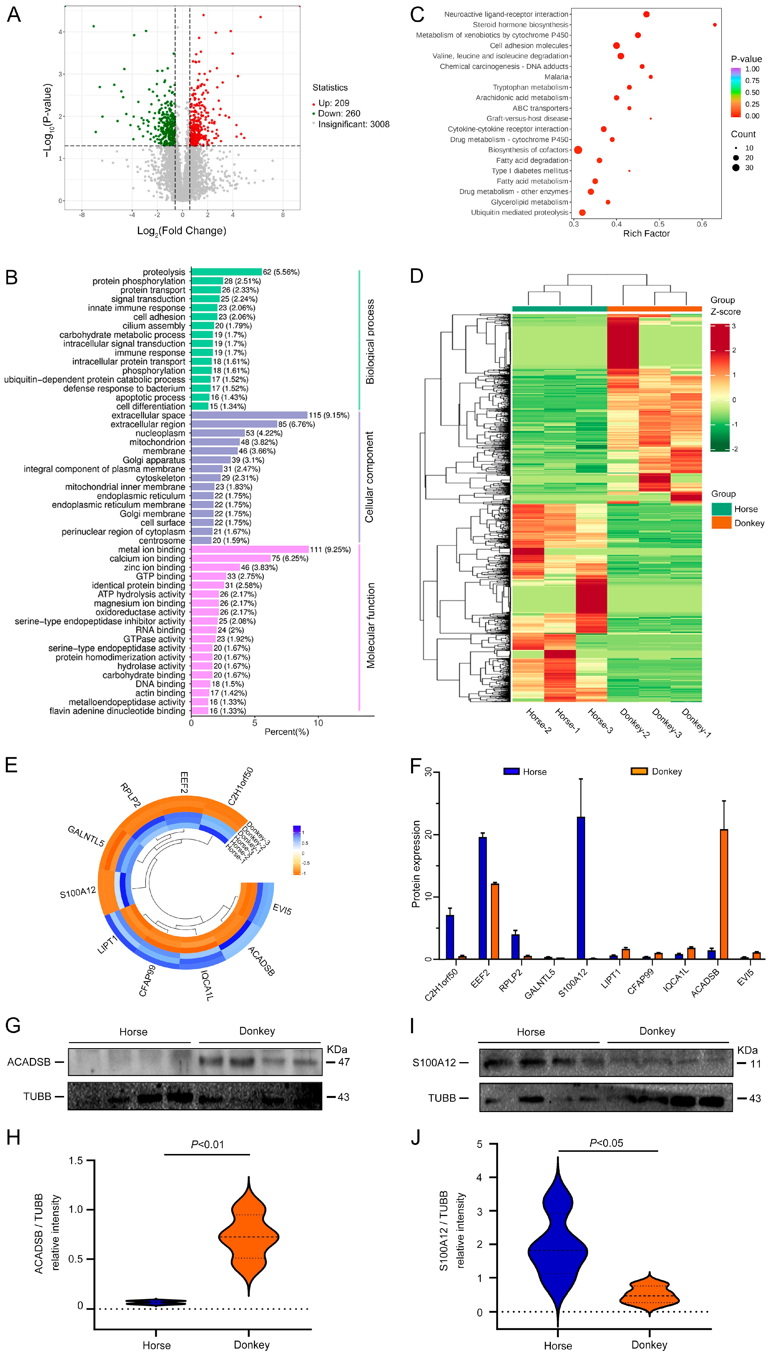 Animals 14 02237 g006 Animals 14 02237 g006