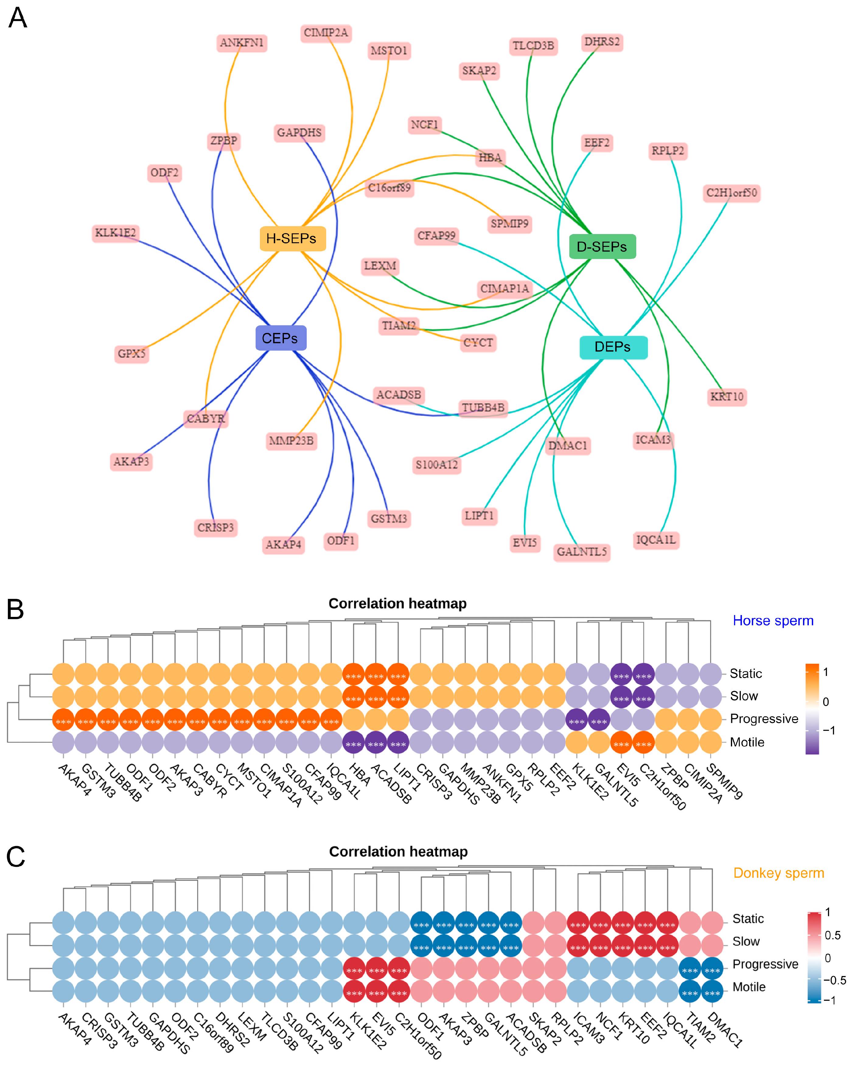 Animals 14 02237 g007 Animals 14 02237 g007