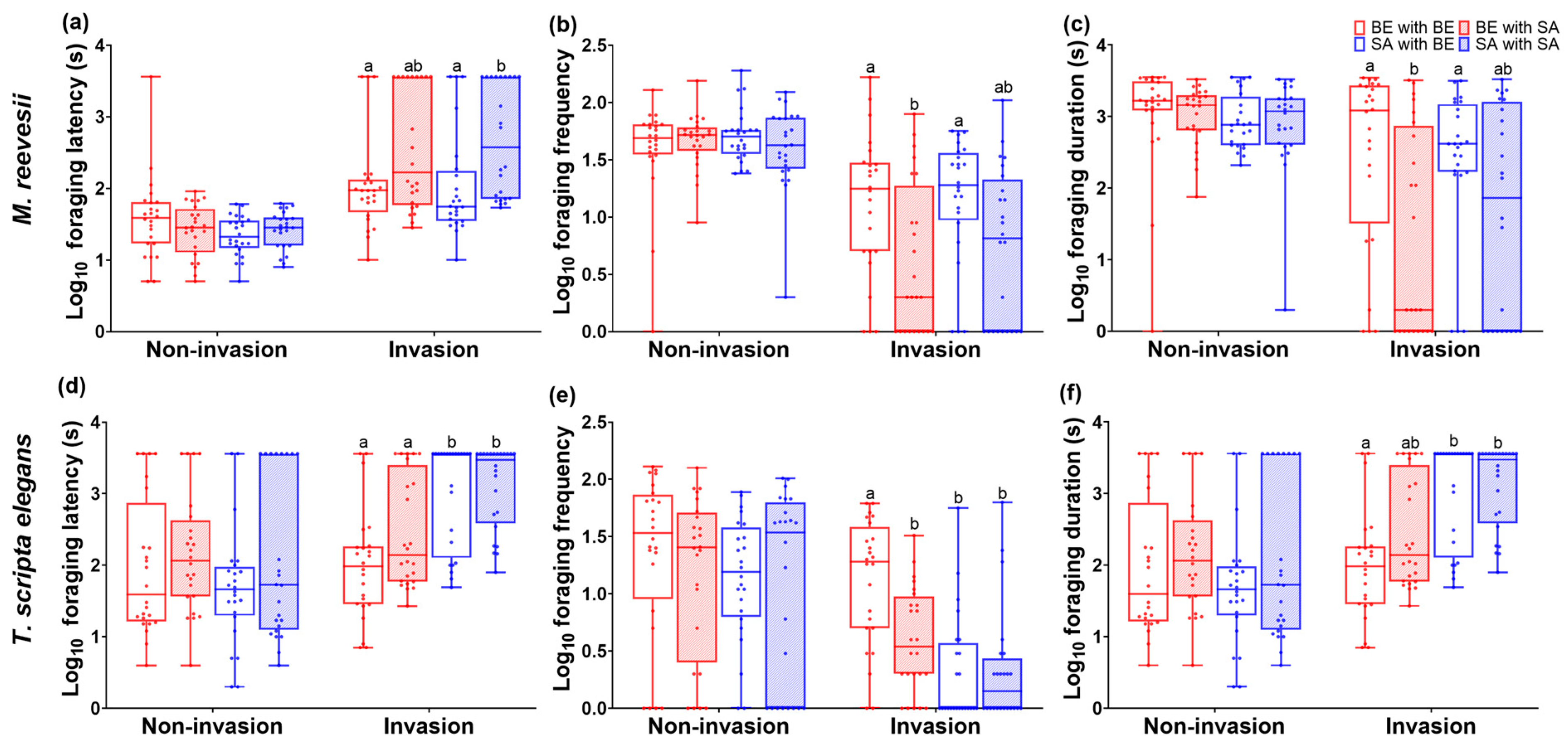 Animals 14 02240 g002