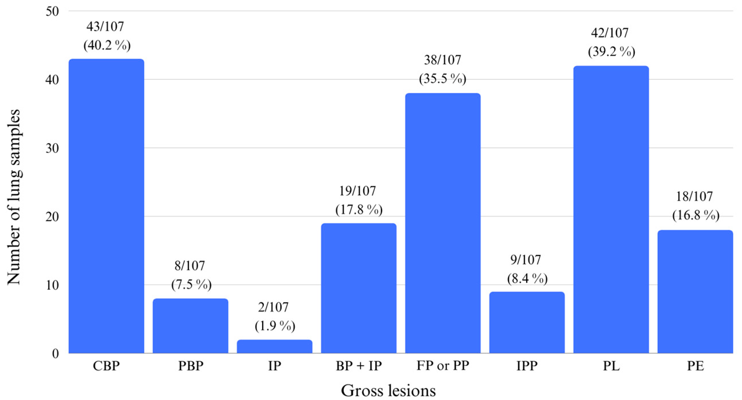 Animals 14 02255 g003