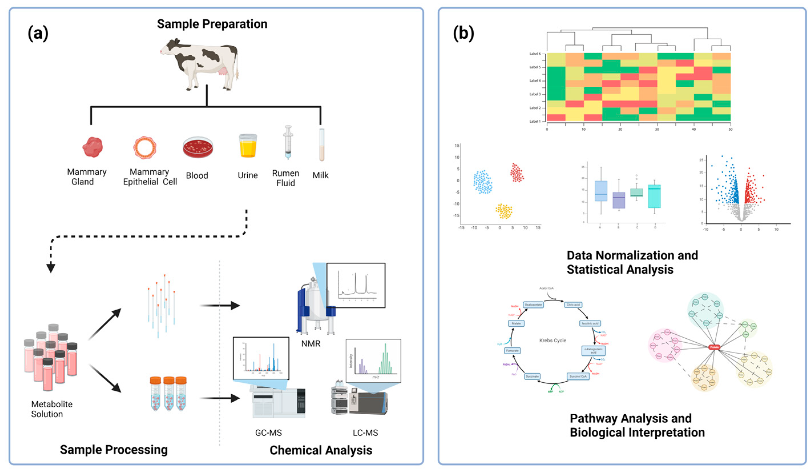 Animals 14 02264 g001