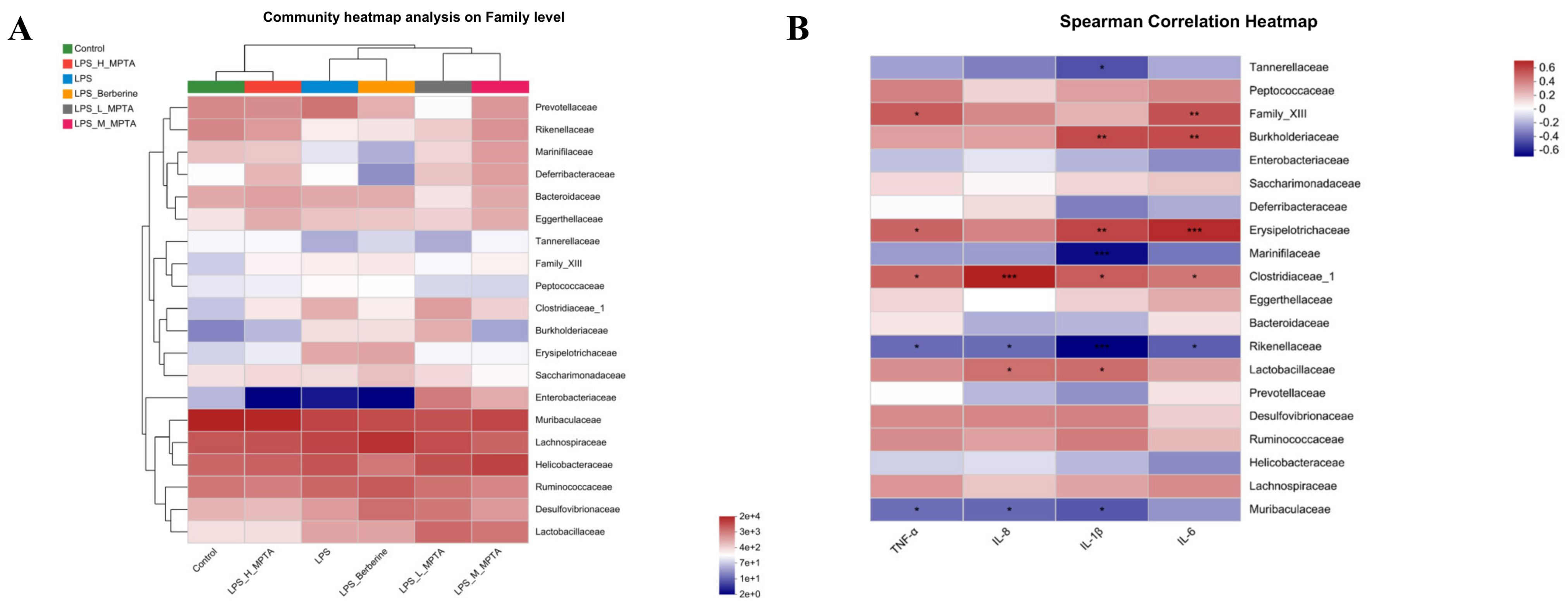 Animals 14 02273 g012