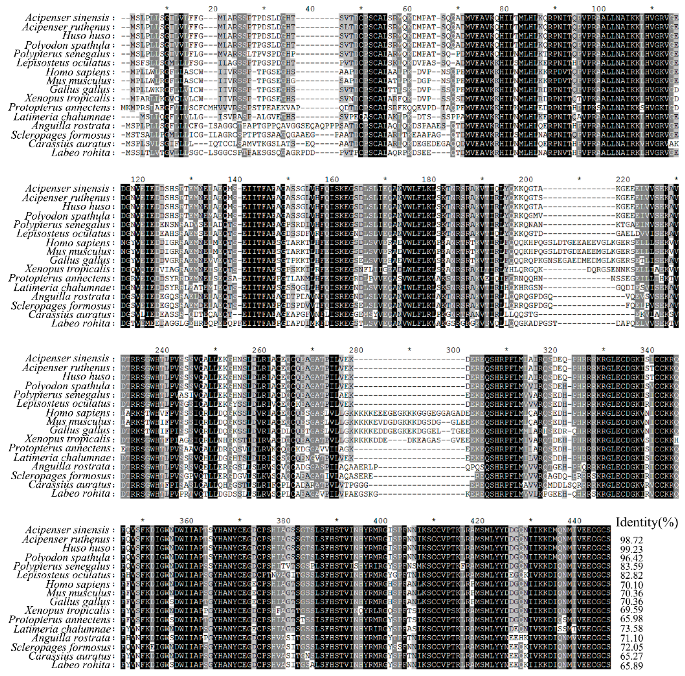 Animals 14 02314 g001