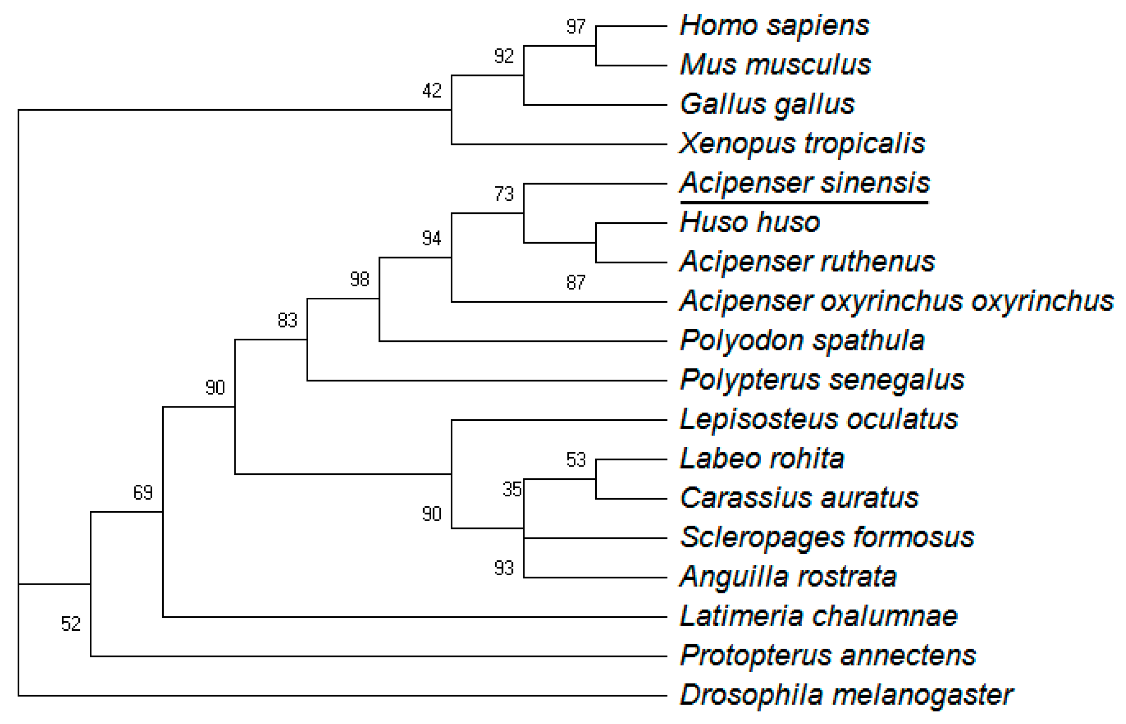 Animals 14 02314 g002