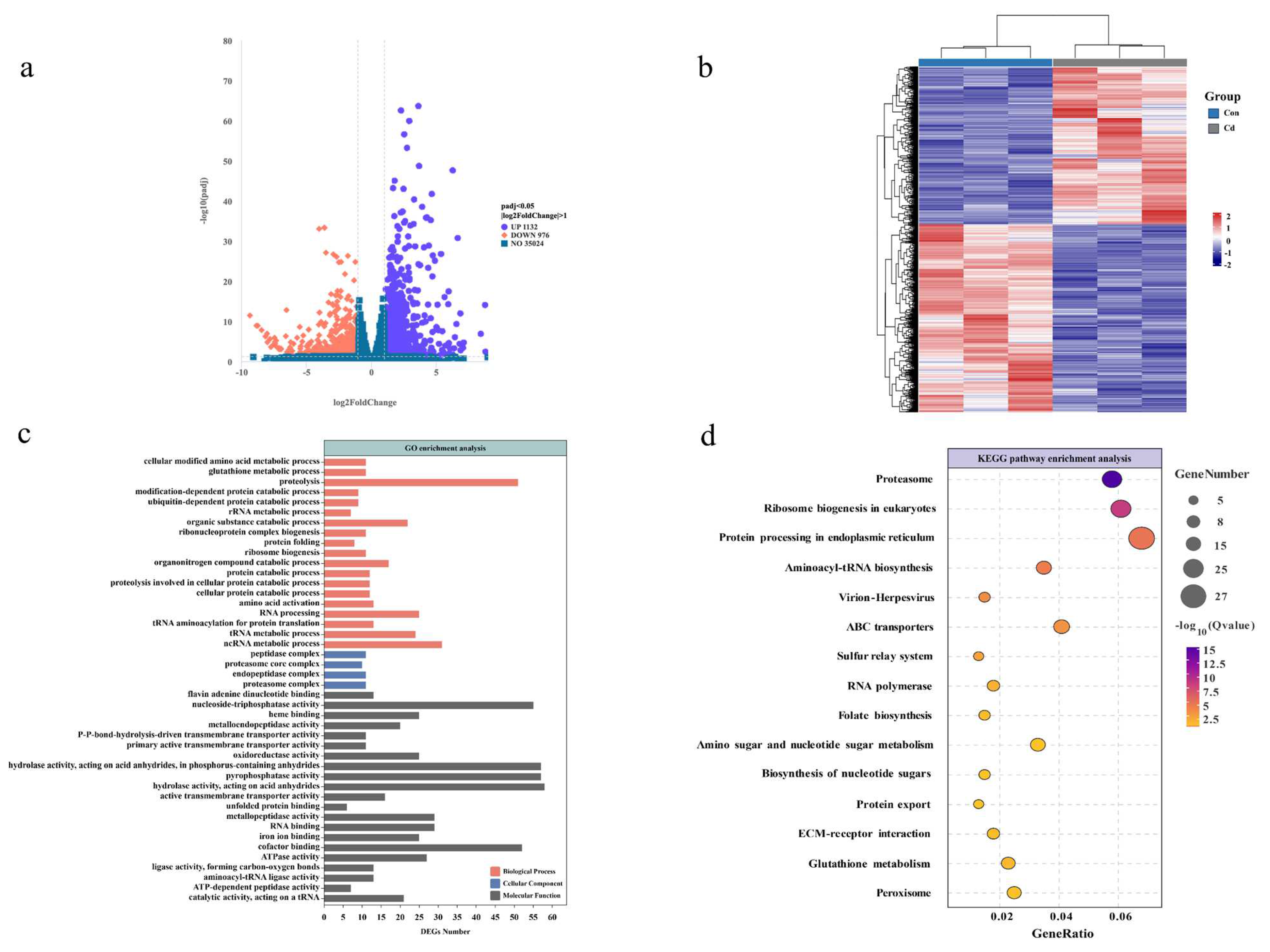 Animals 14 02318 g002