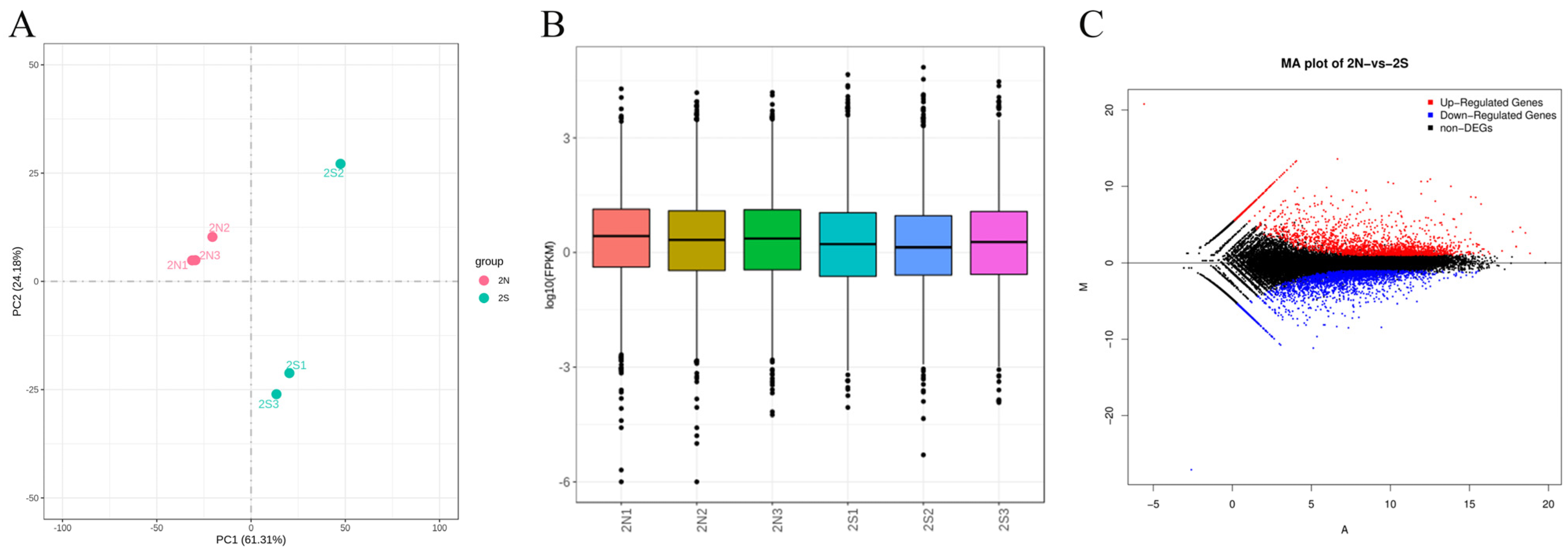 Animals 14 02319 g002