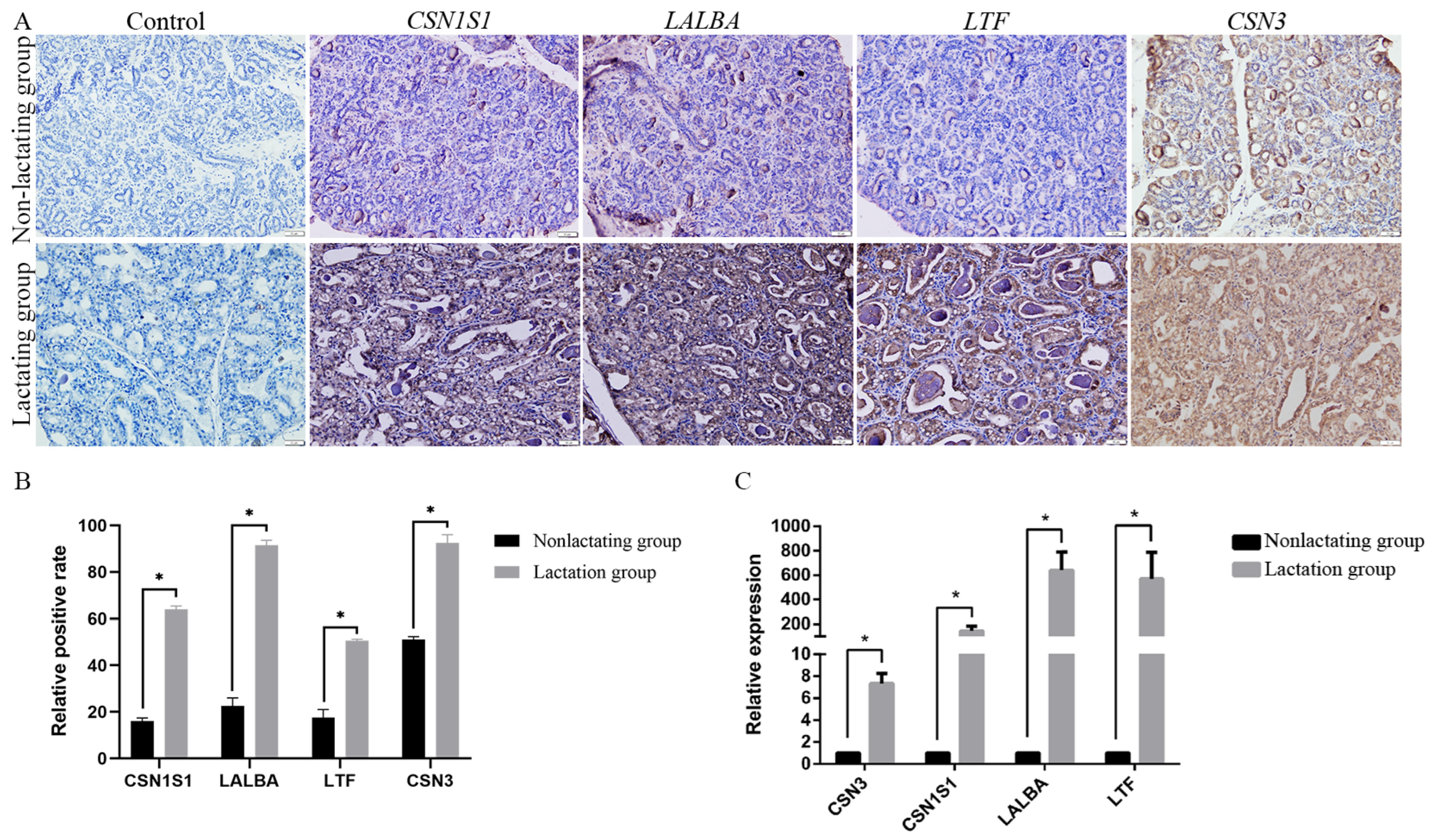 Animals 14 02319 g005