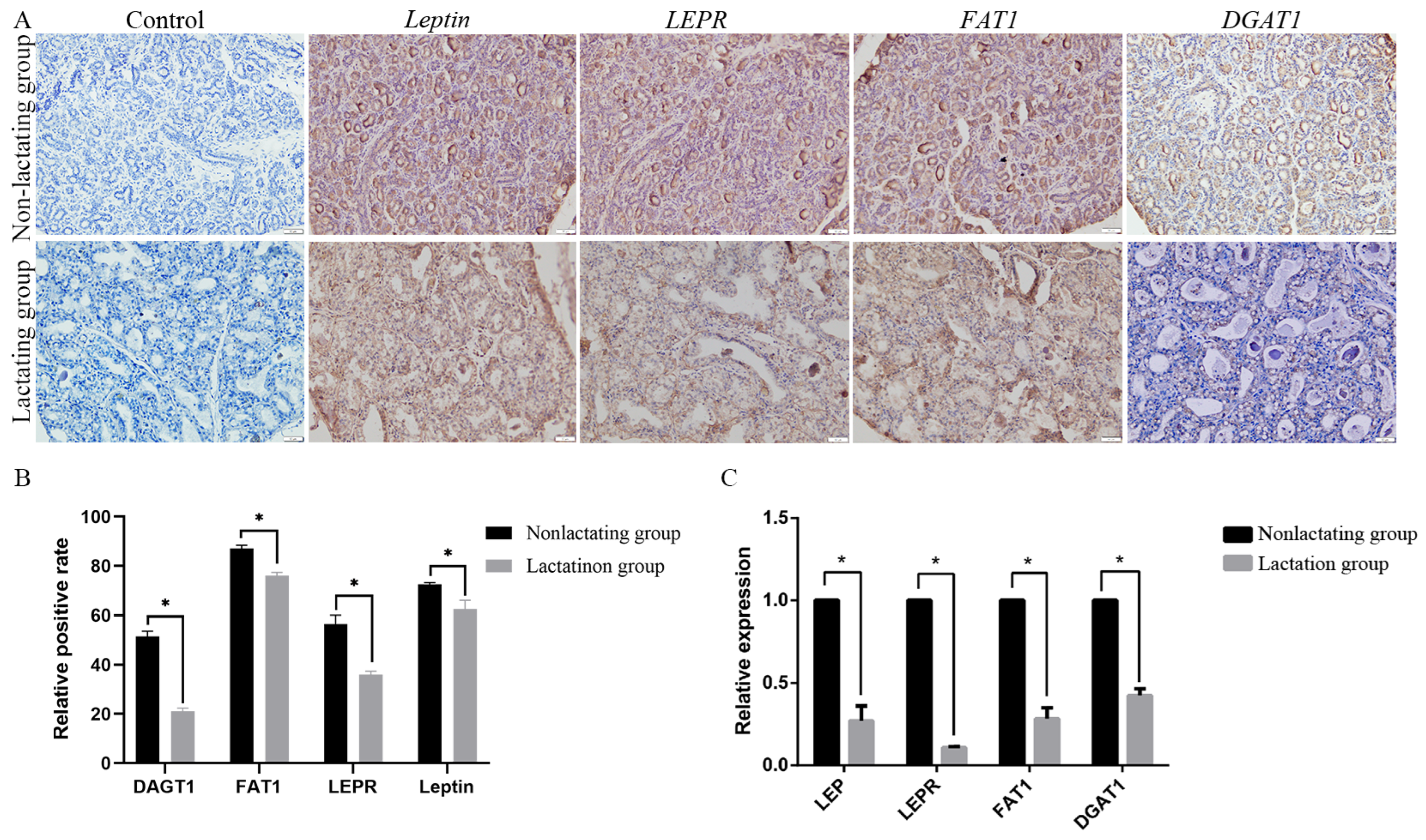 Animals 14 02319 g006