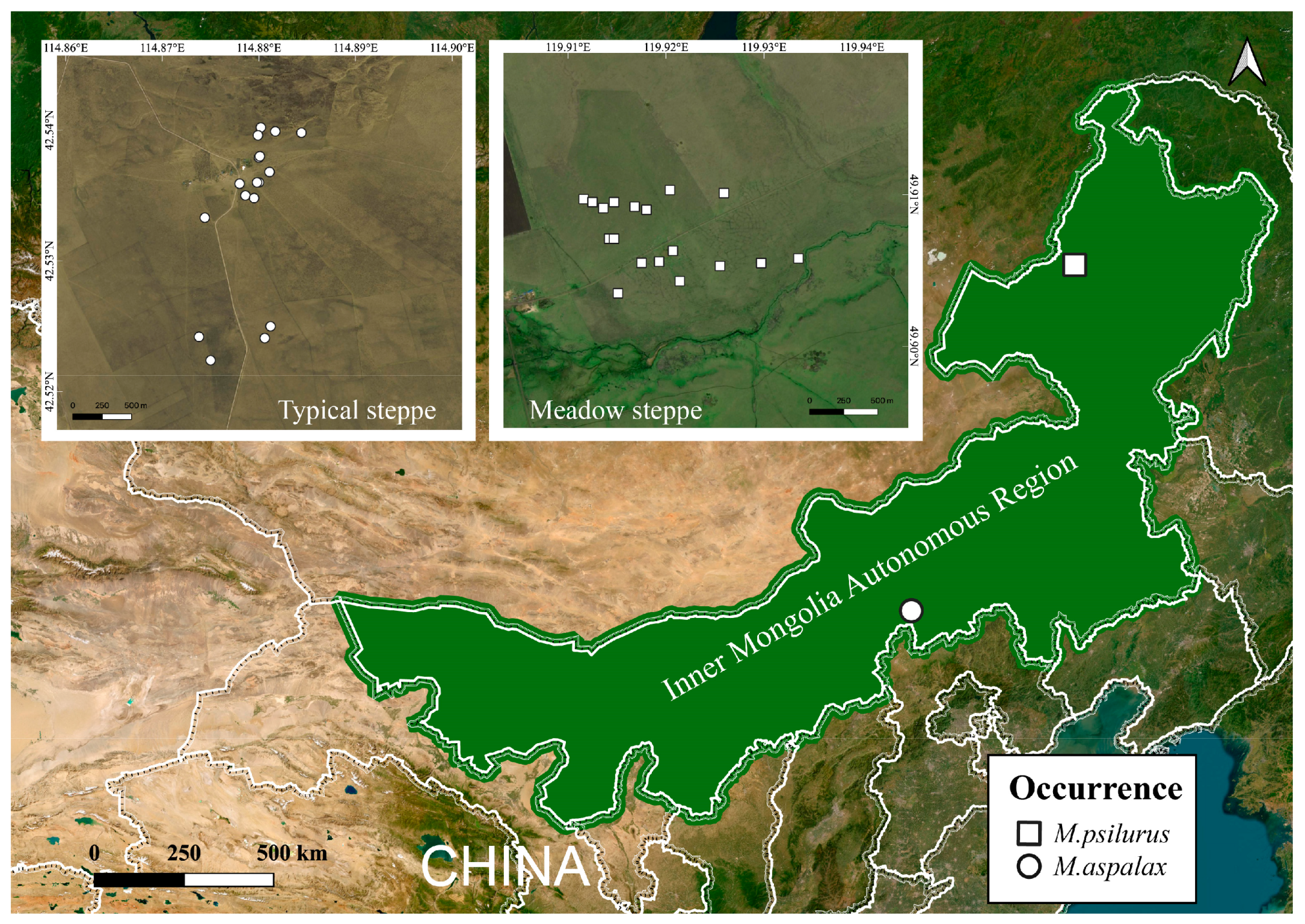 Animals 14 02334 g001