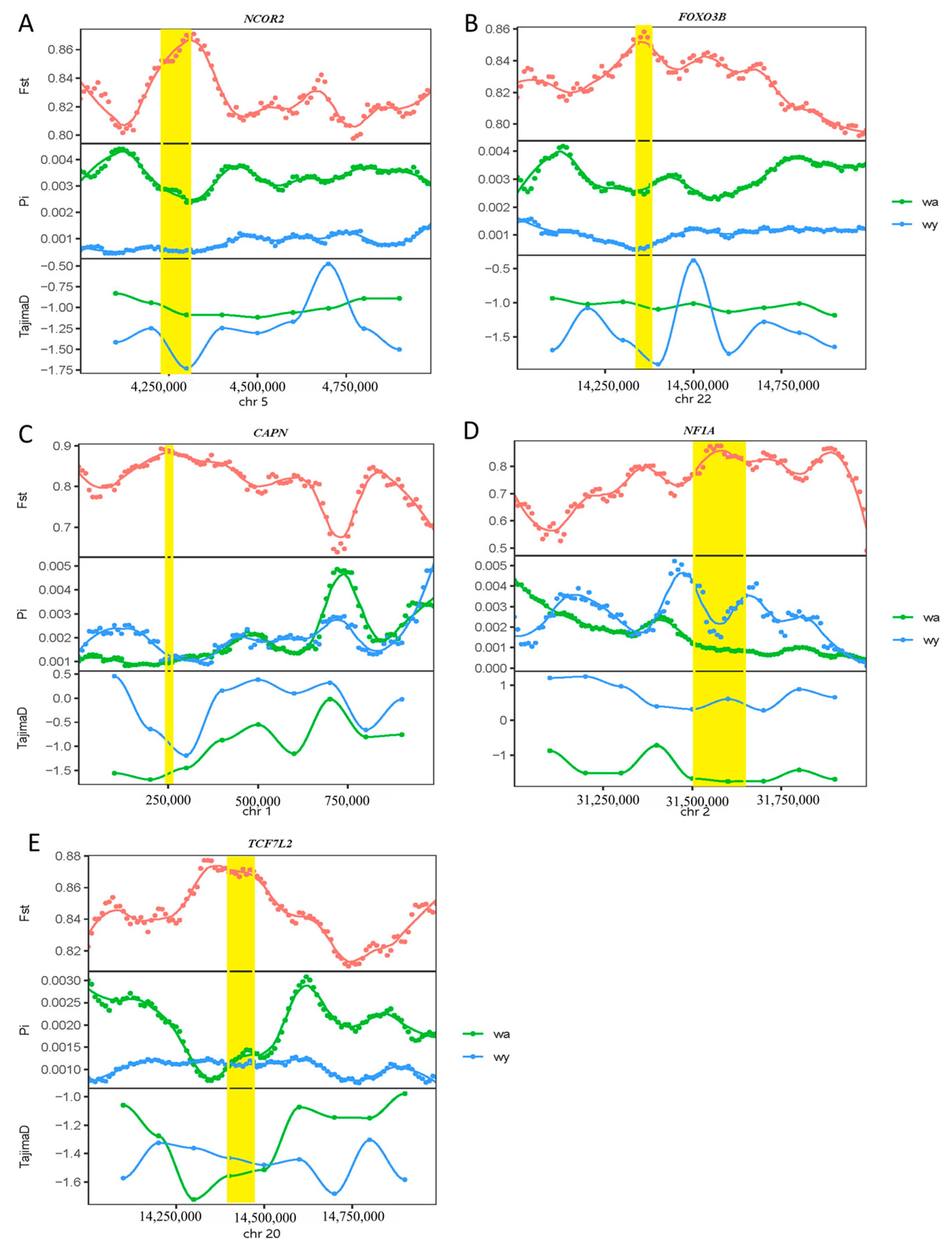 Animals 14 02339 g005