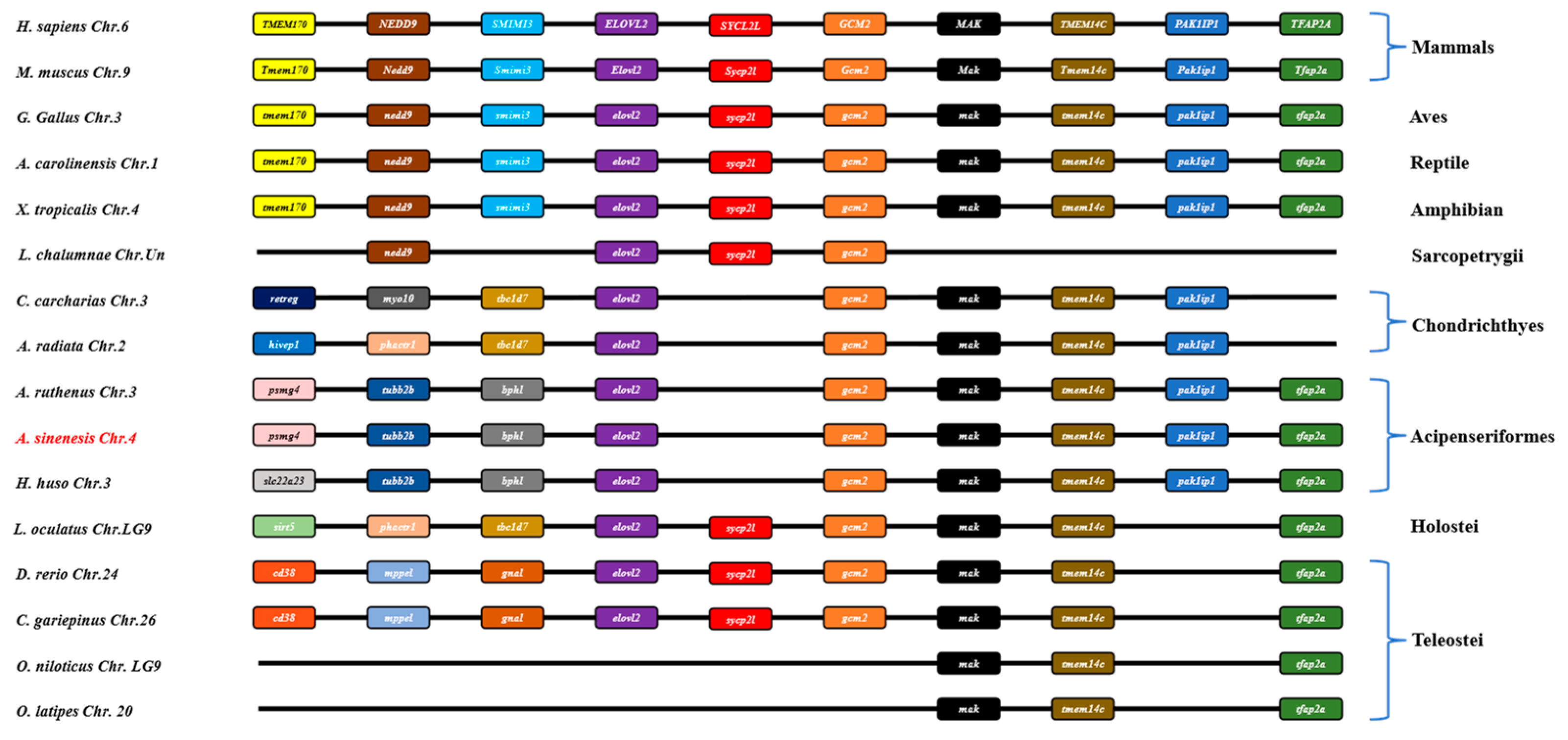 Animals 14 02343 g004