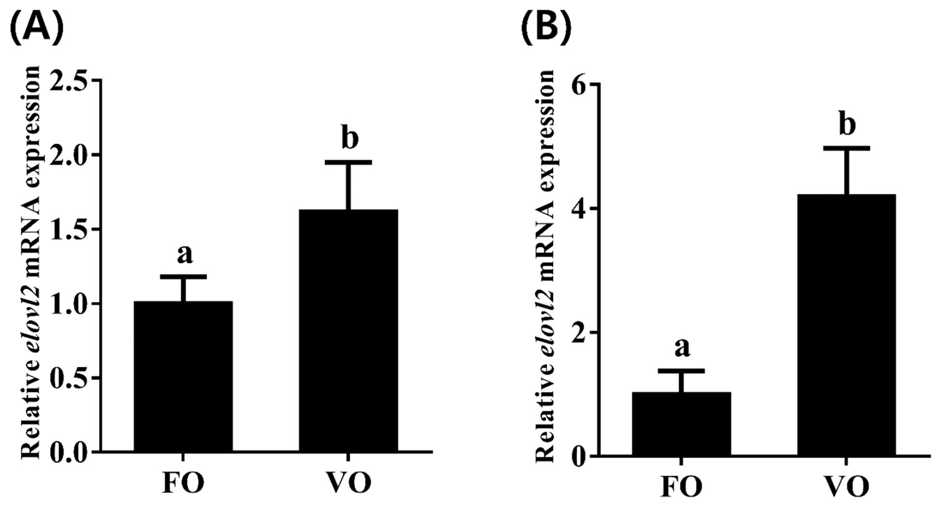 Animals 14 02343 g008