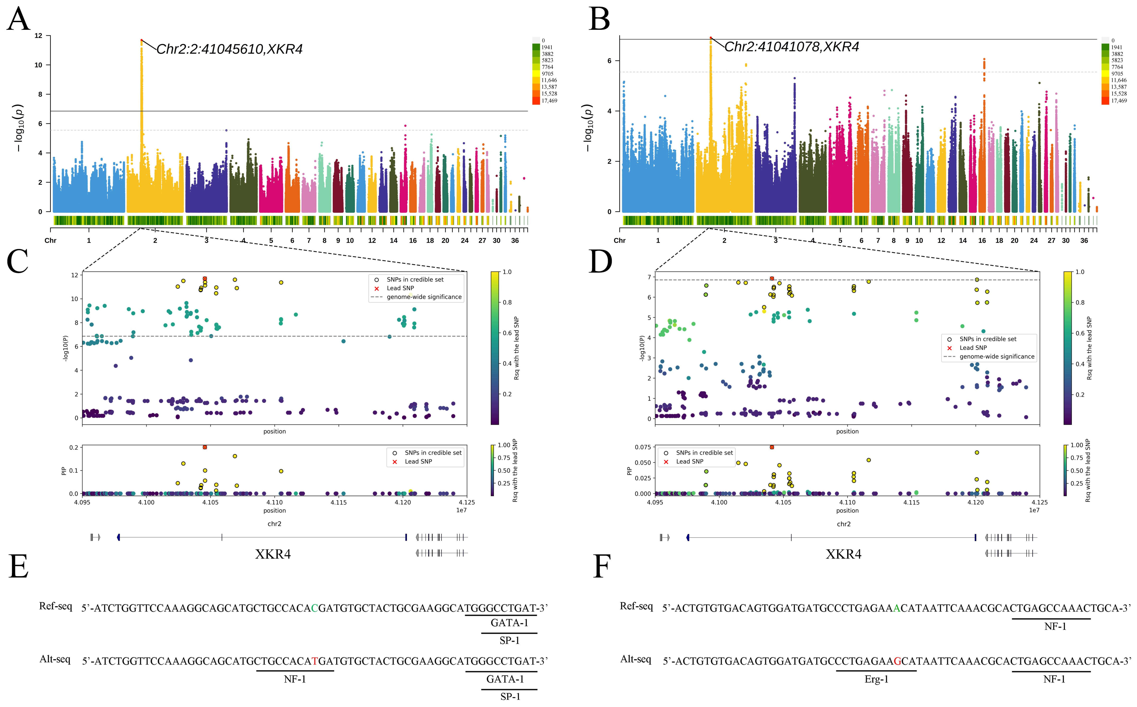 Animals 14 02349 g001