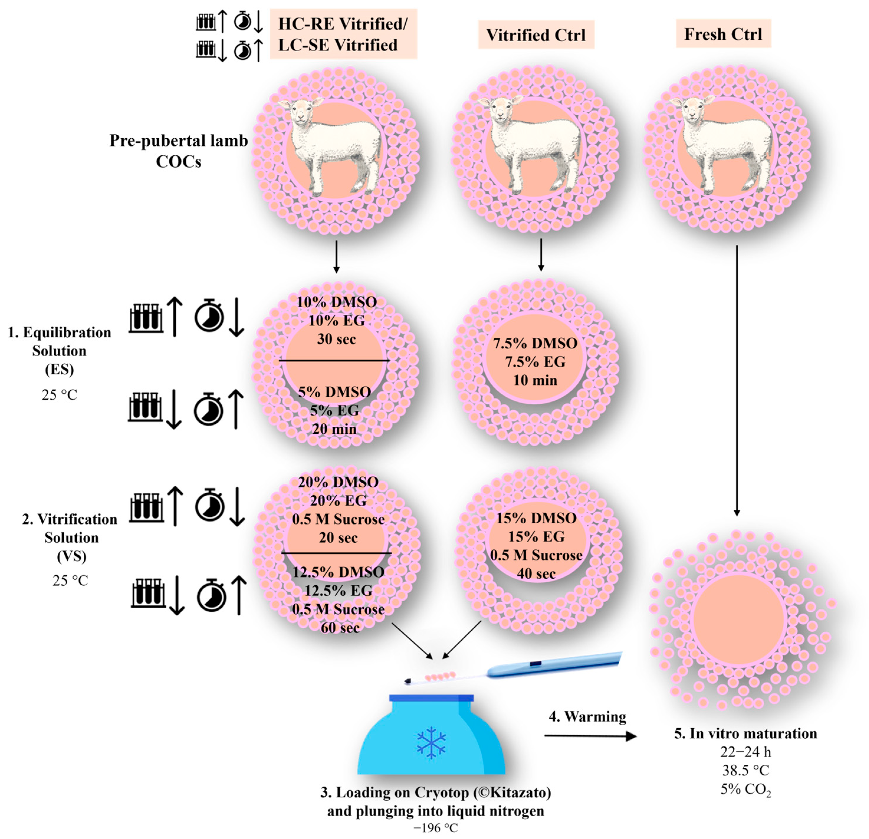 Animals 14 02351 g001