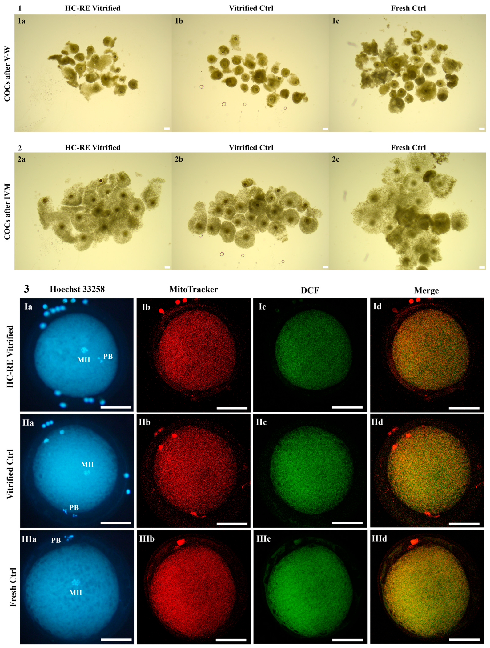 Animals 14 02351 g003