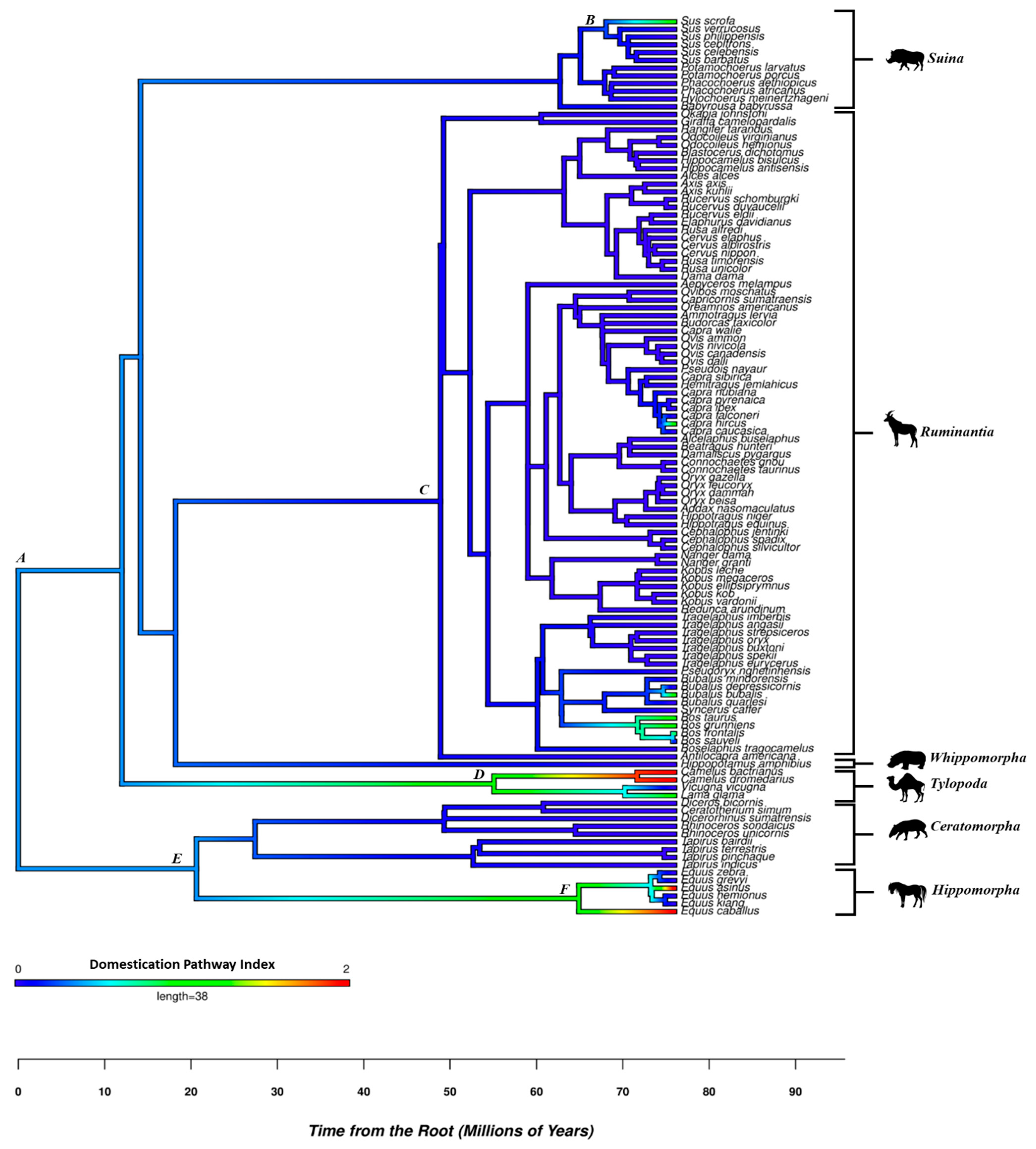 Animals 14 02355 g002