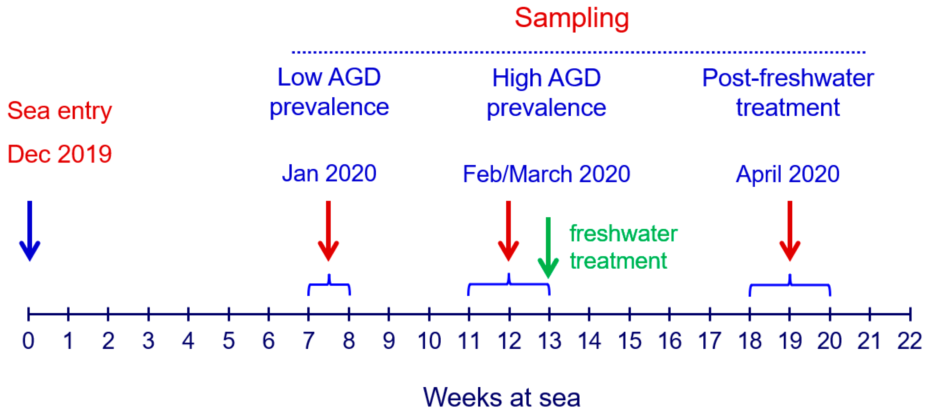 Animals 14 02356 g001