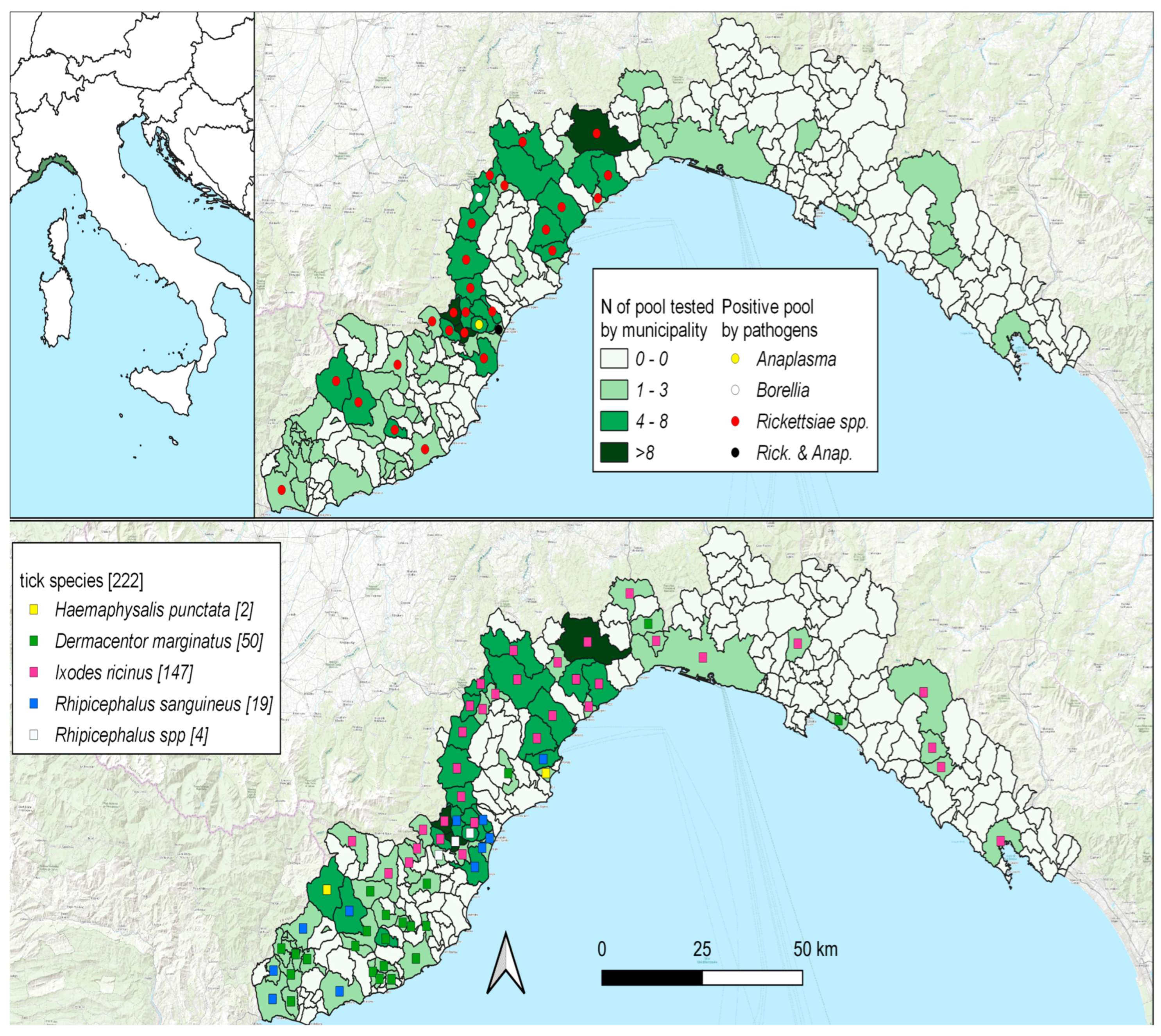 Animals 14 02377 g001
