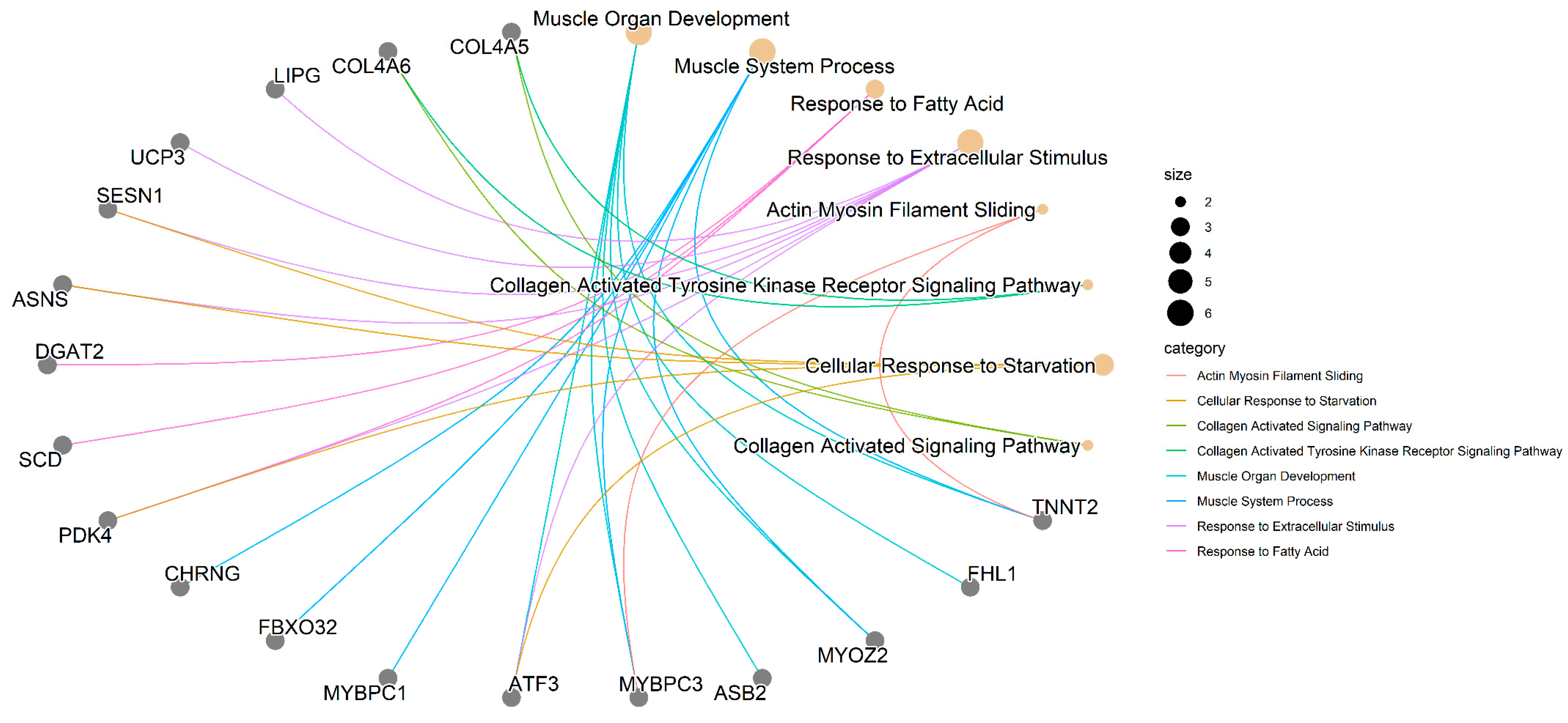 Animals 14 02379 g005