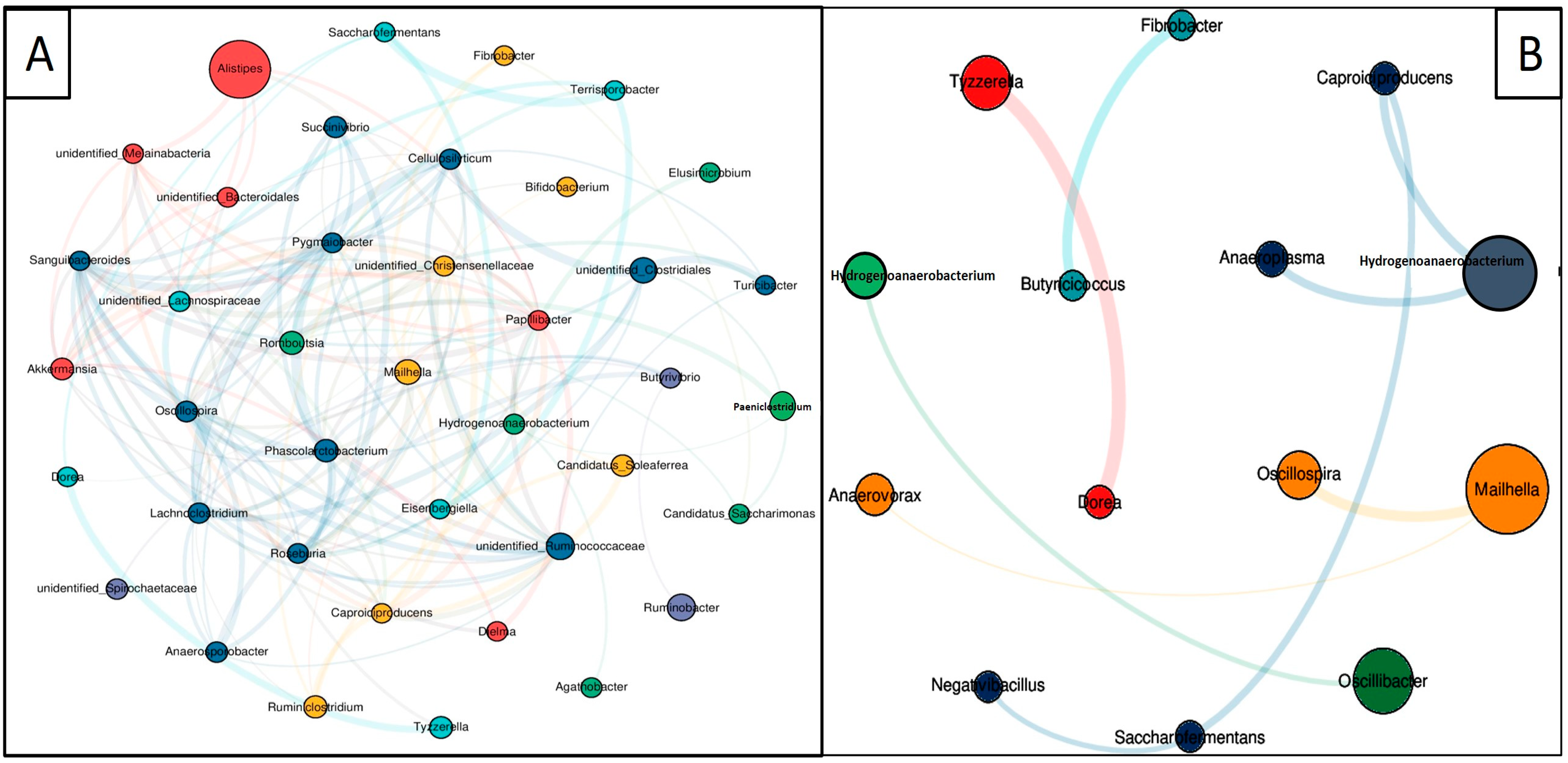 Animals 14 02380 g006