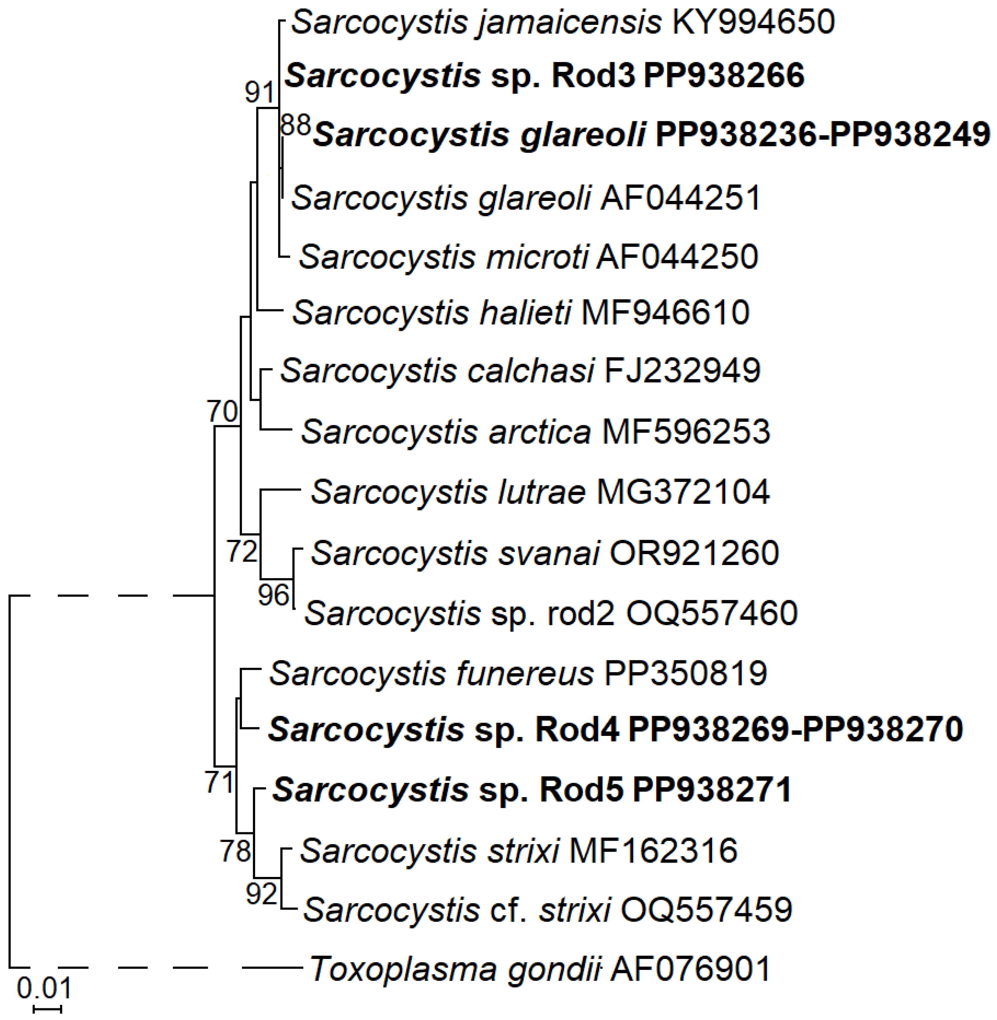 Animals 14 02391 g002