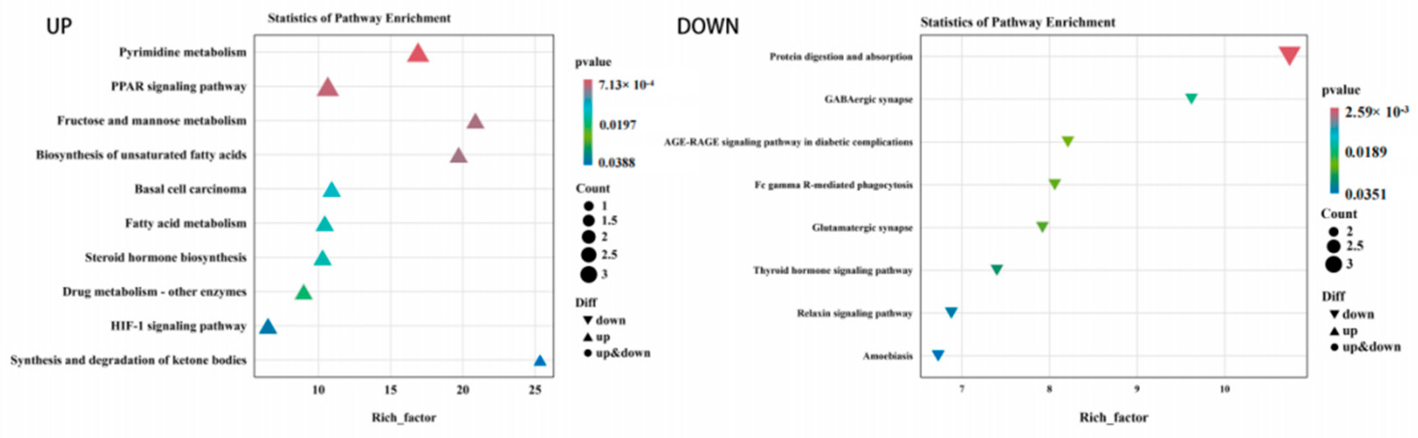 Animals 14 02399 g003