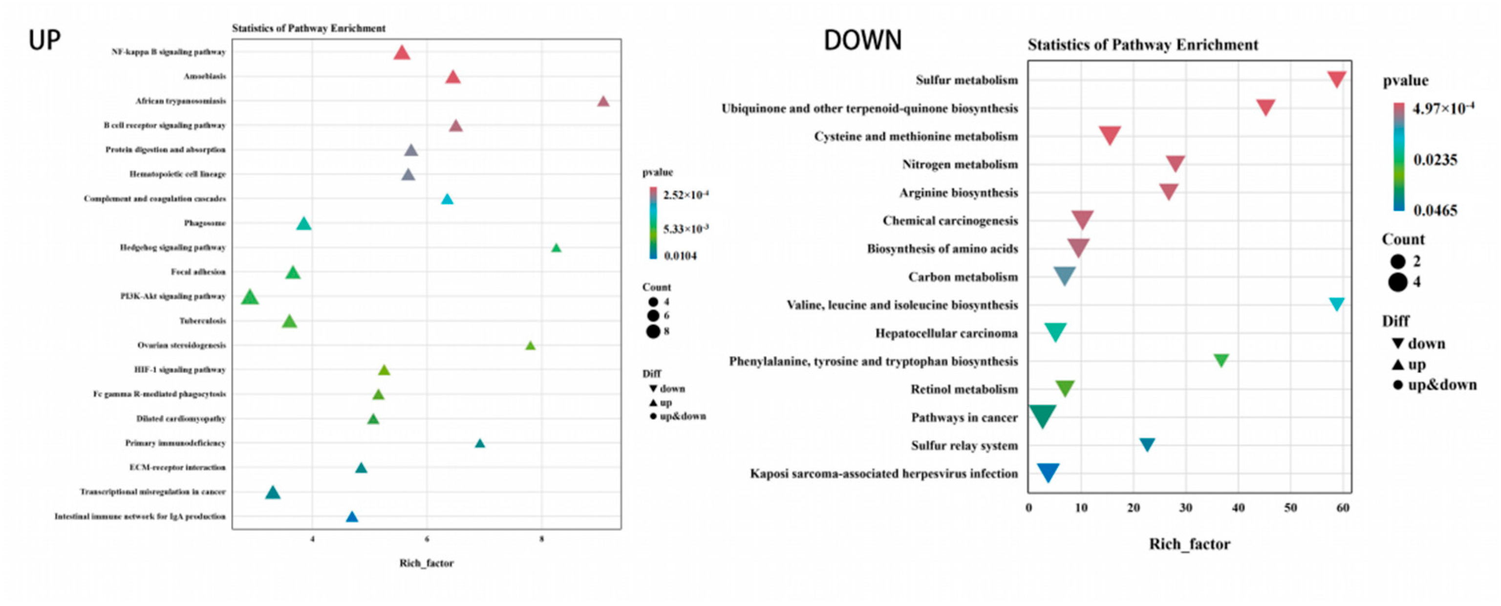Animals 14 02399 g005