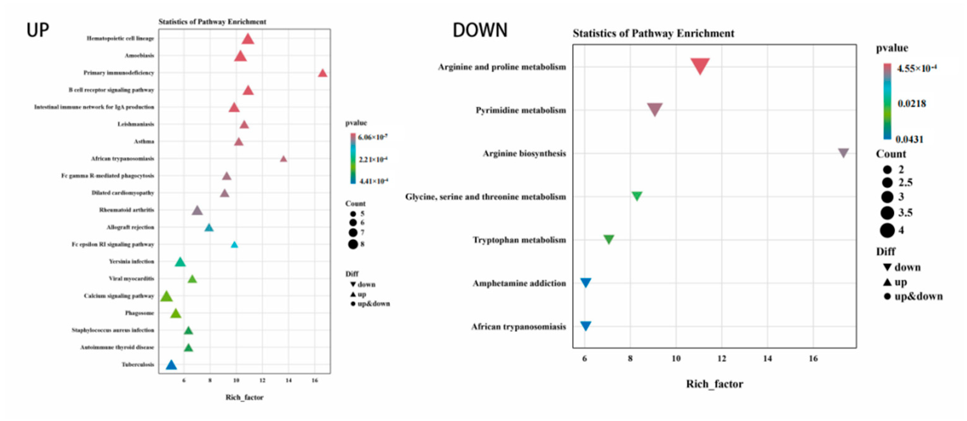 Animals 14 02399 g007