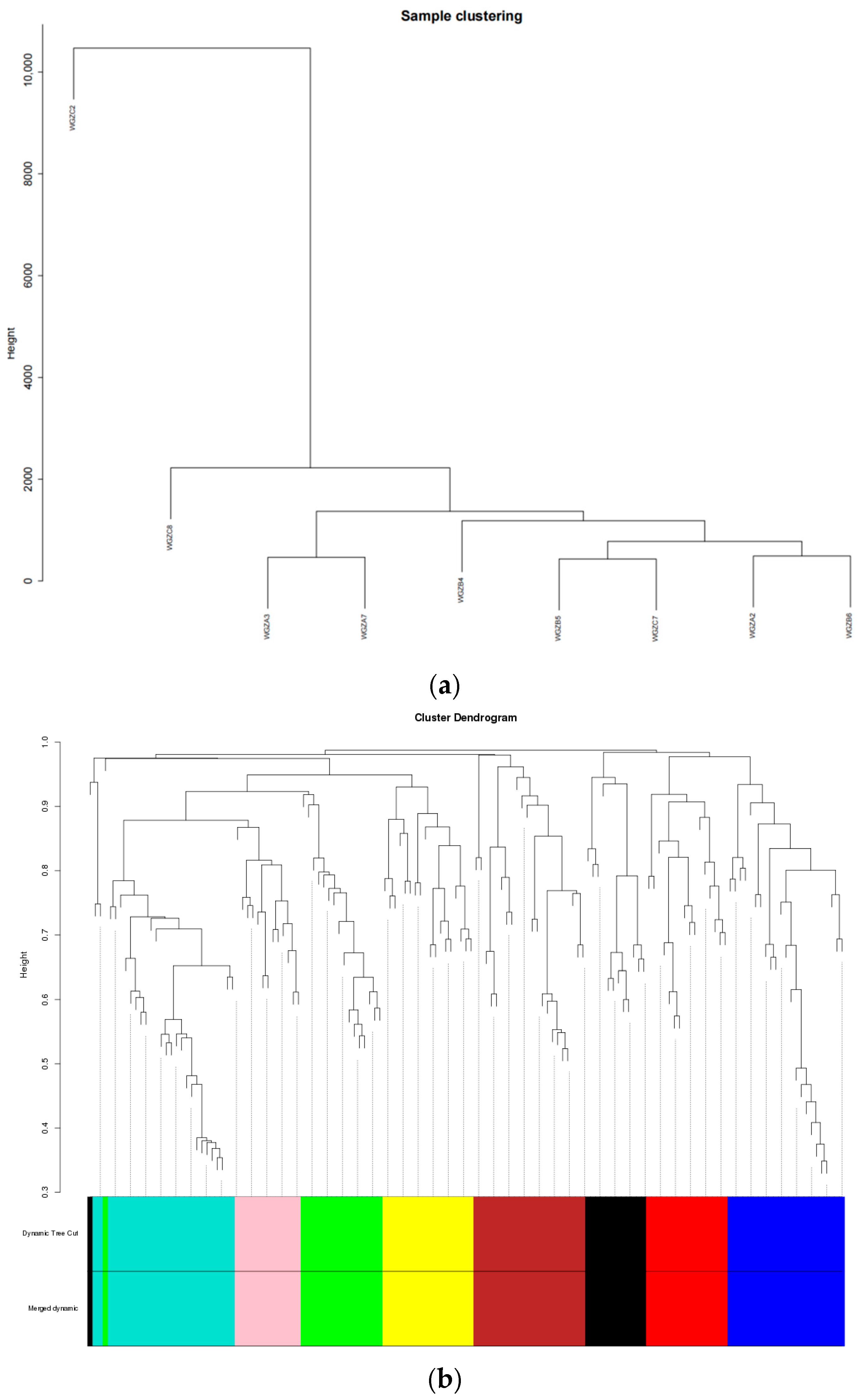 Animals 14 02399 g008