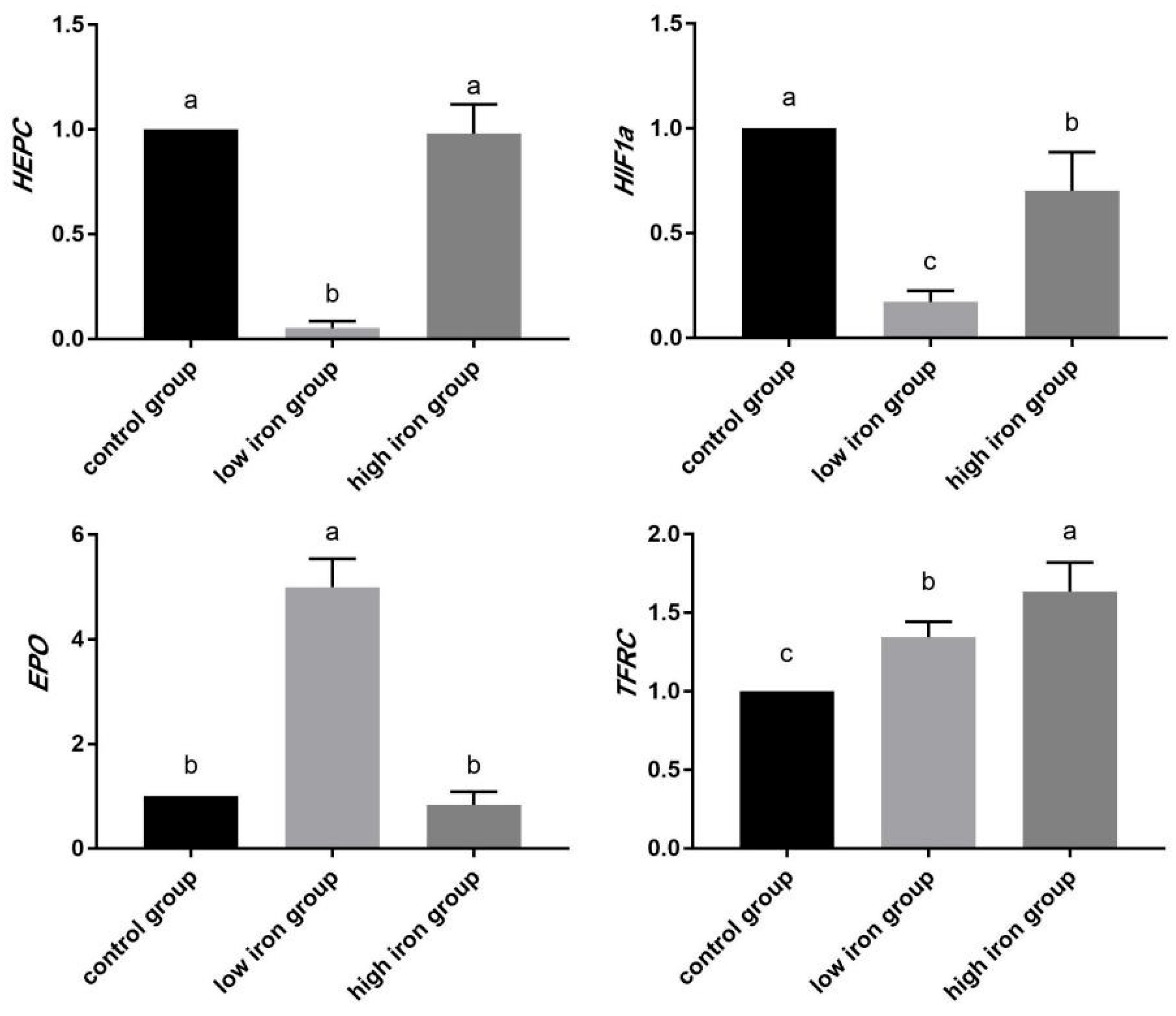 Animals 14 02399 g011