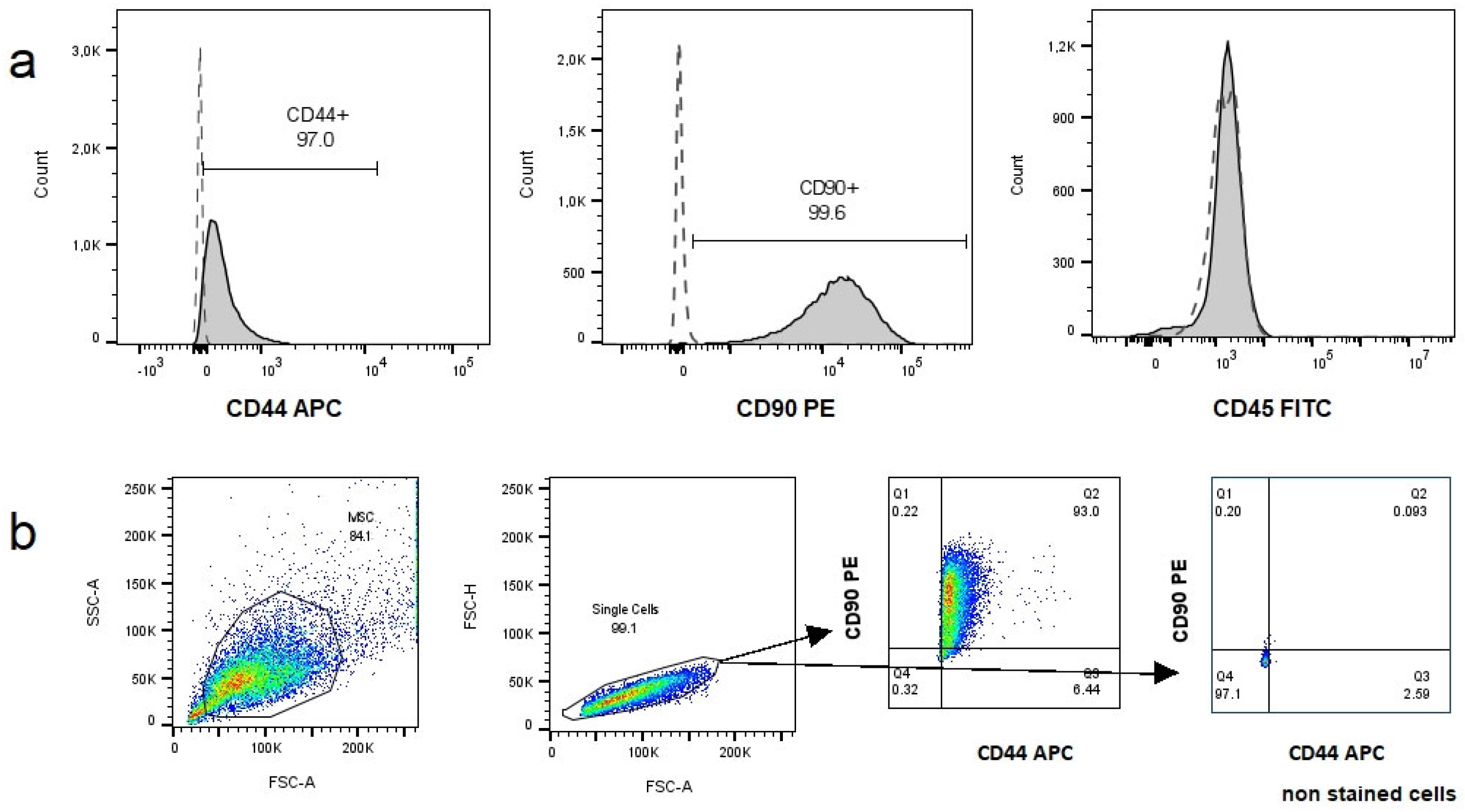 Animals 14 02408 g003