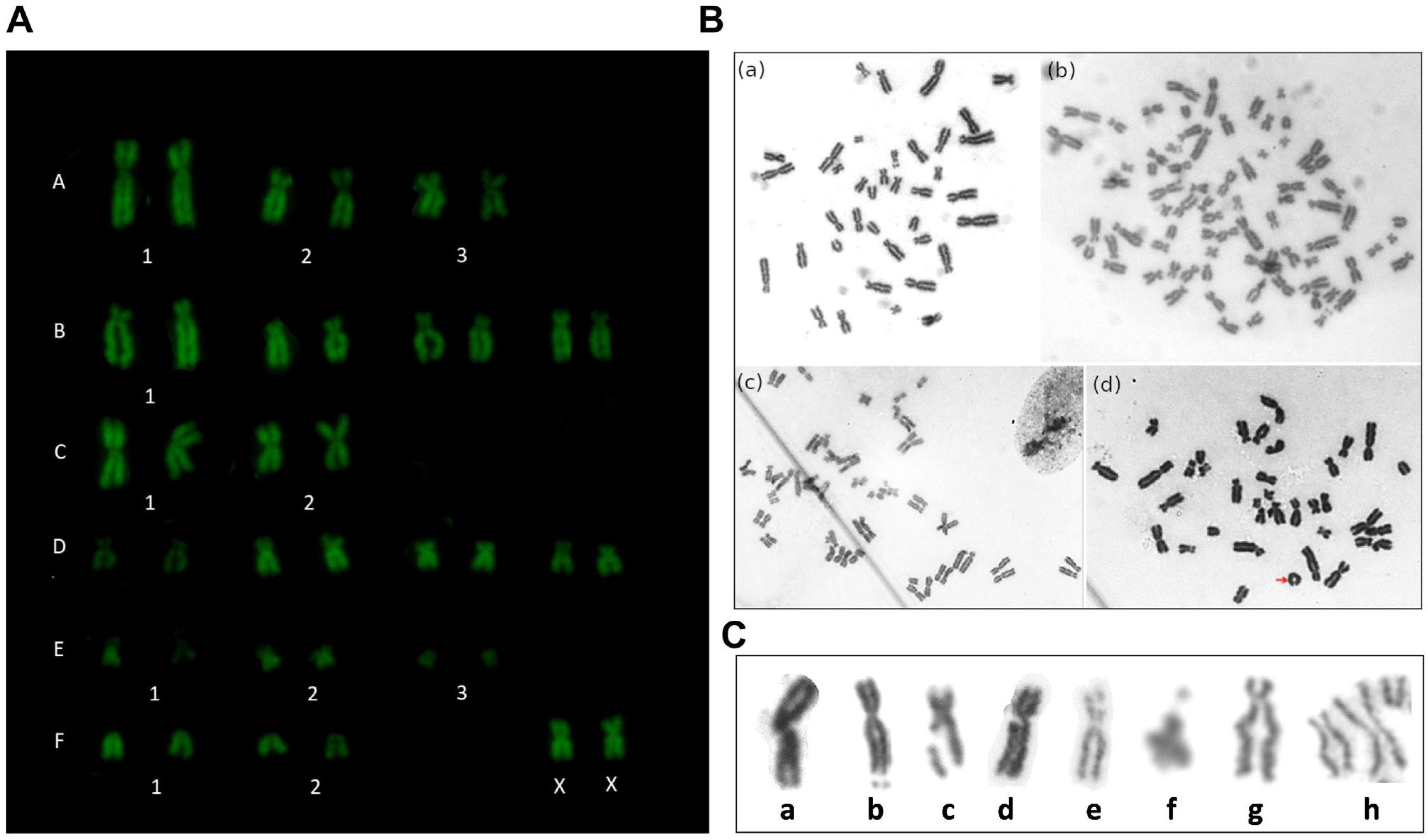 Animals 14 02408 g004
