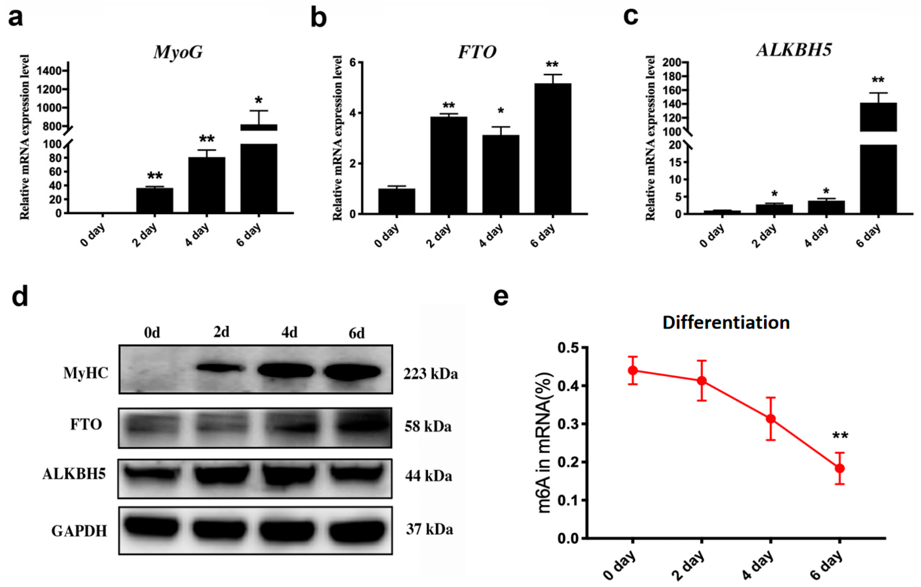 Animals 14 02434 g001