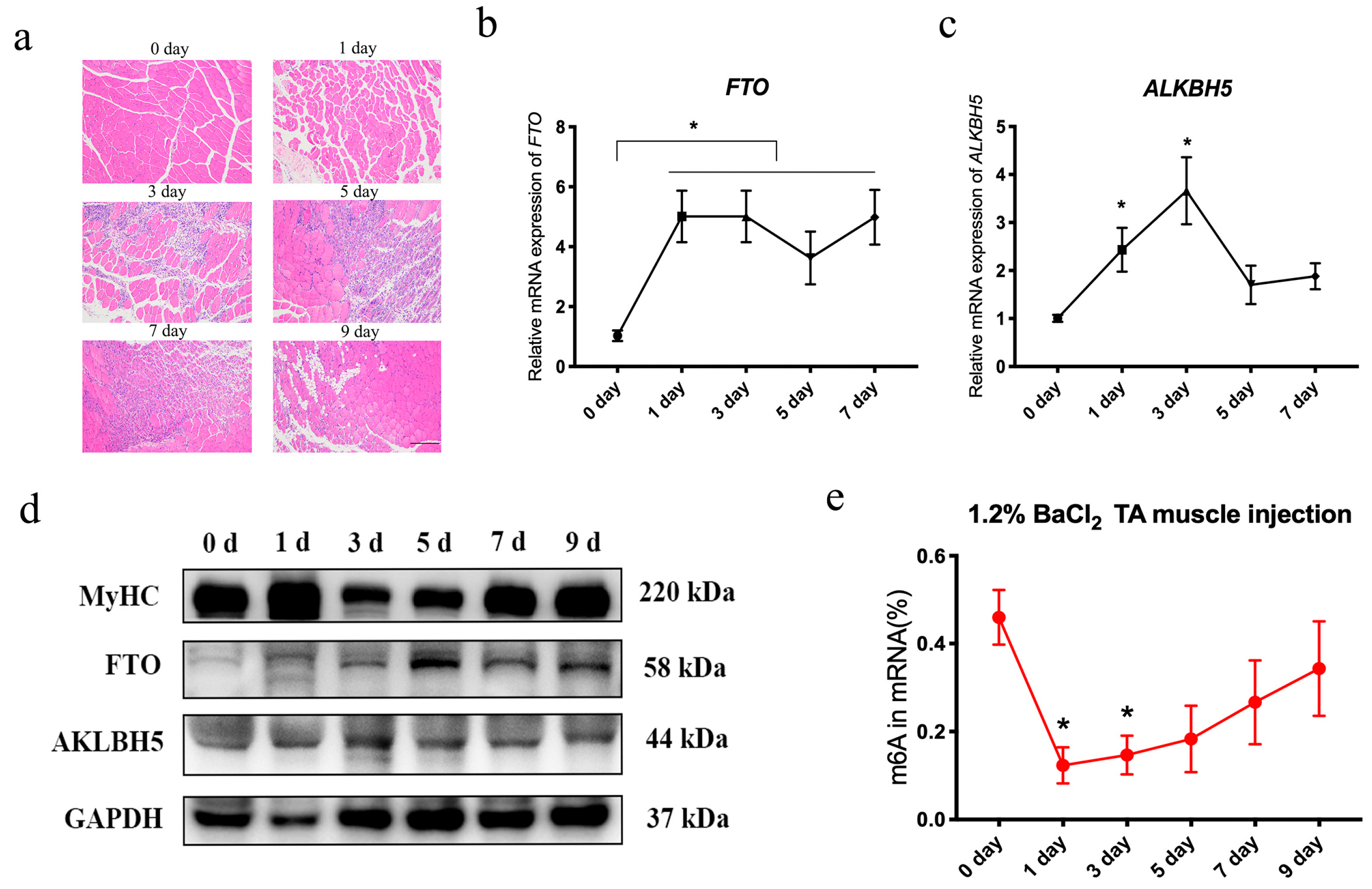 Animals 14 02434 g002