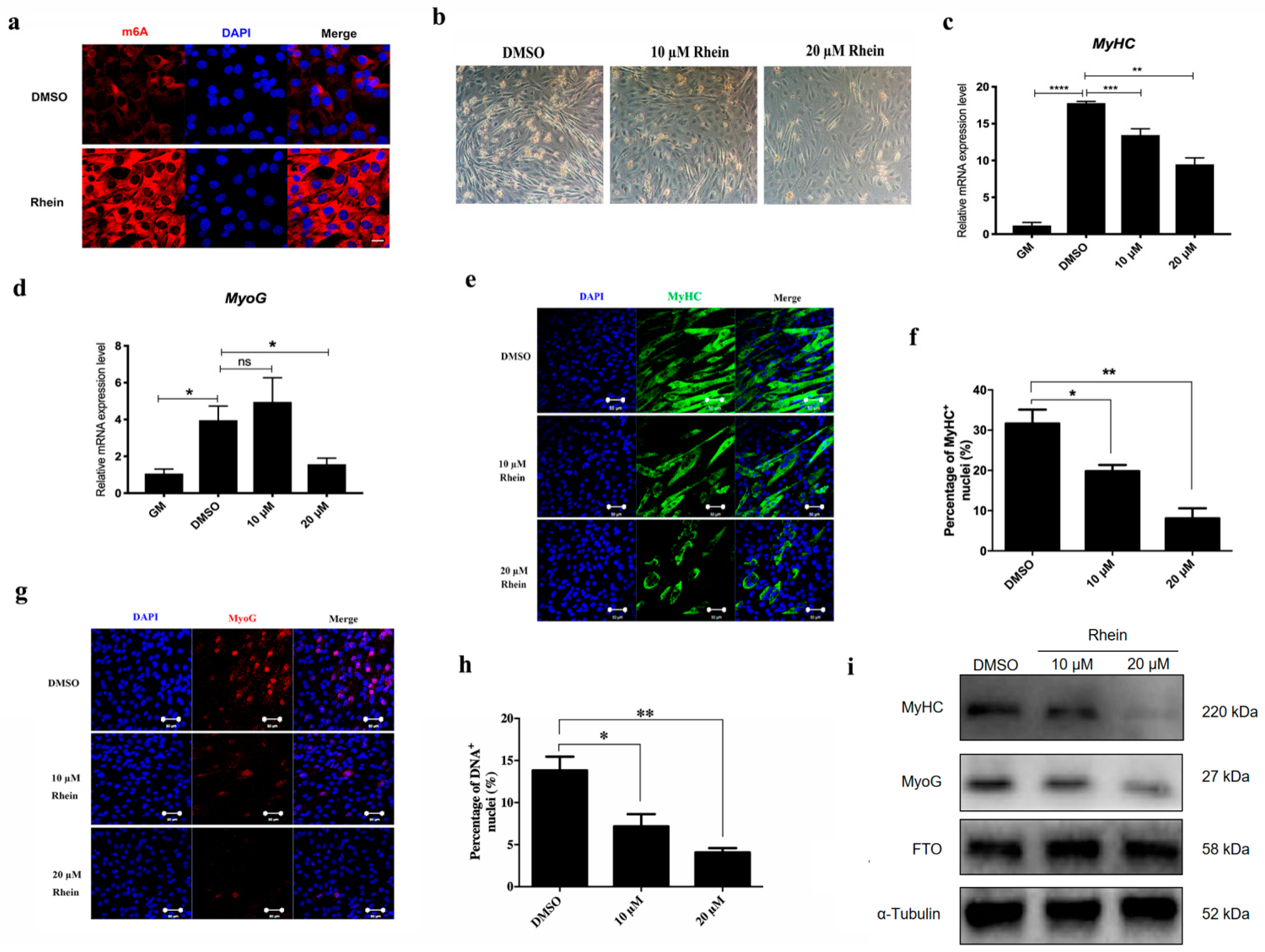 Animals 14 02434 g004