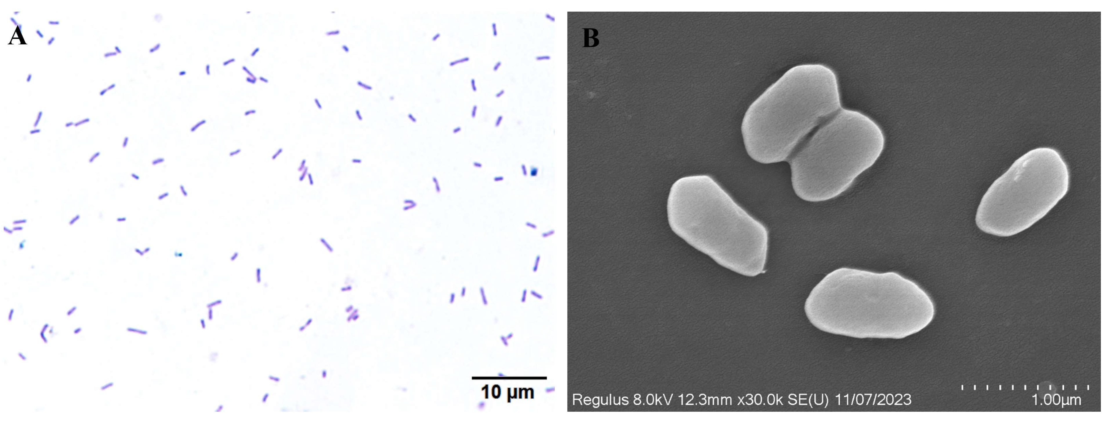 Animals 14 02440 g003